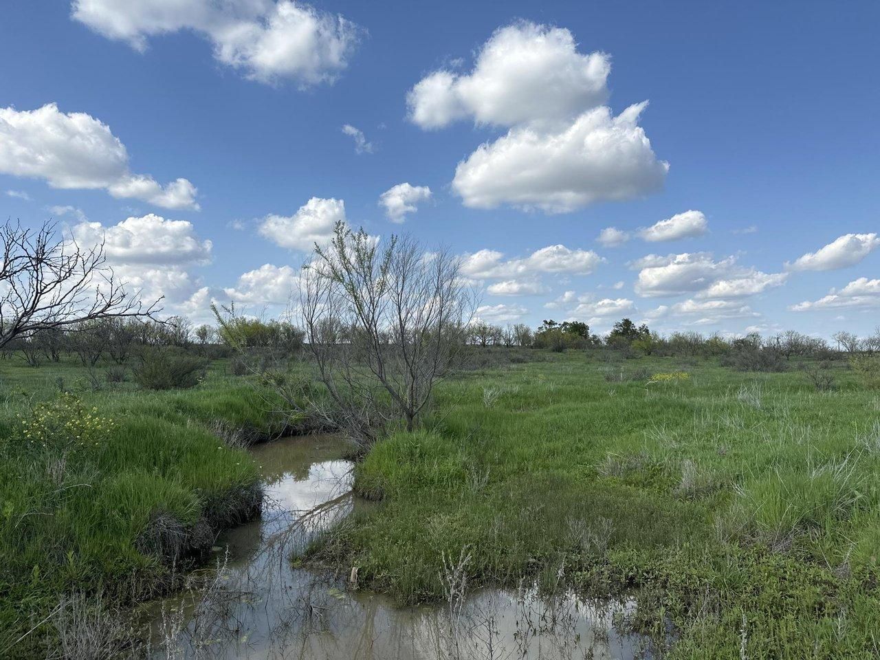 Cross Plains, Callahan County, TX Undeveloped Land, Hunting Property