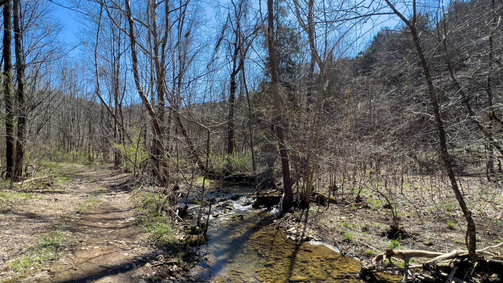 Fort Blackmore, Scott County, VA Farms and Ranches, Undeveloped Land