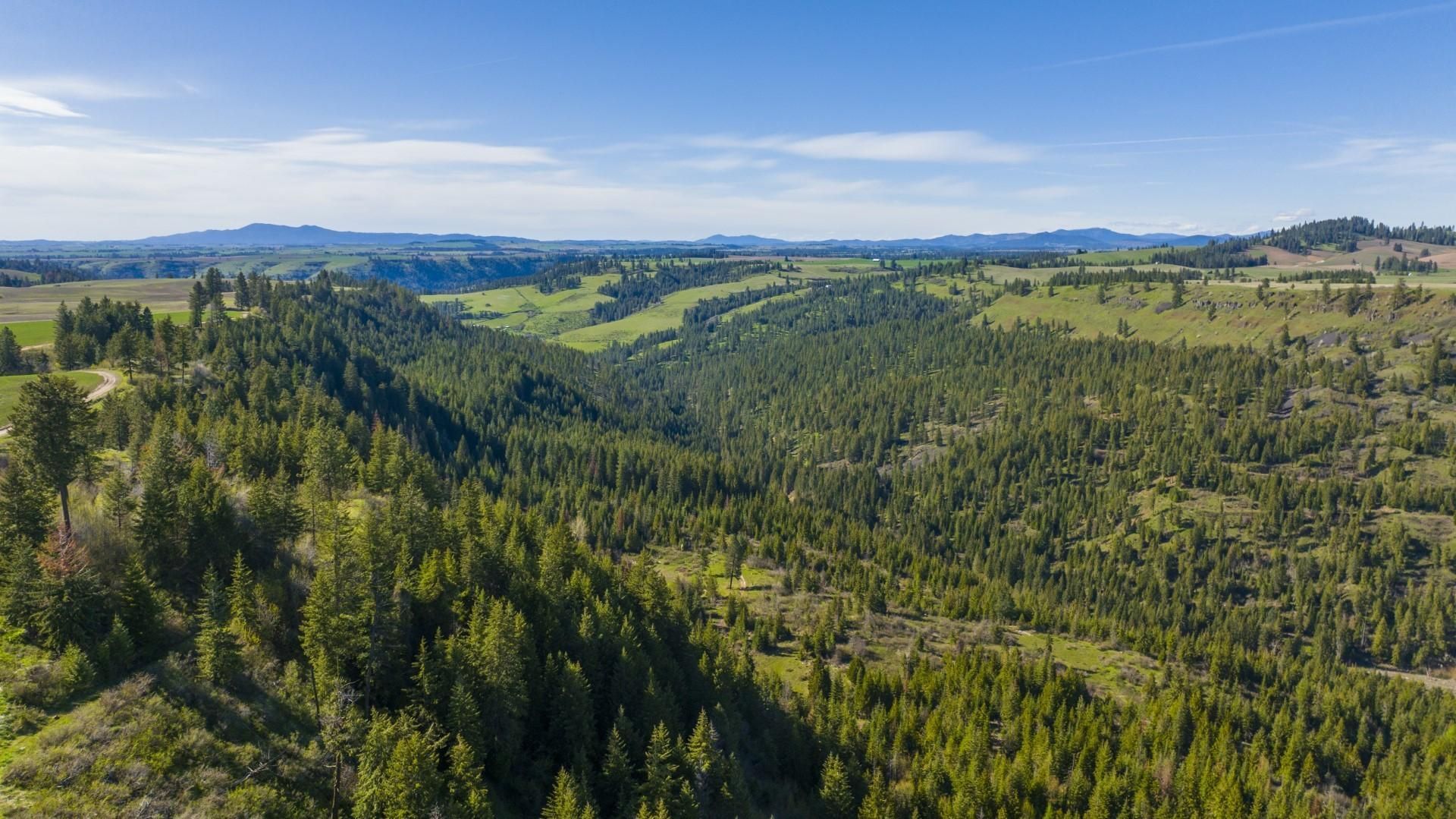 Kendrick, Nez Perce County, ID Recreational Property, Timberland
