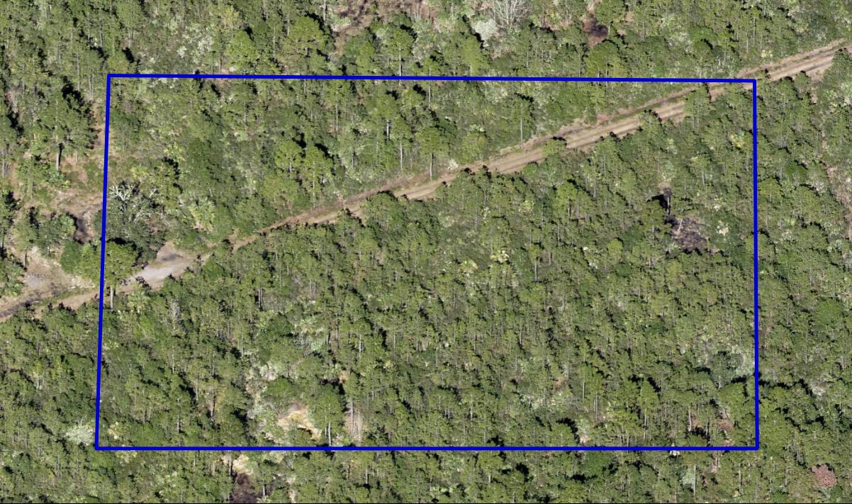 Mims, Brevard County, FL Recreational Property, Undeveloped Land