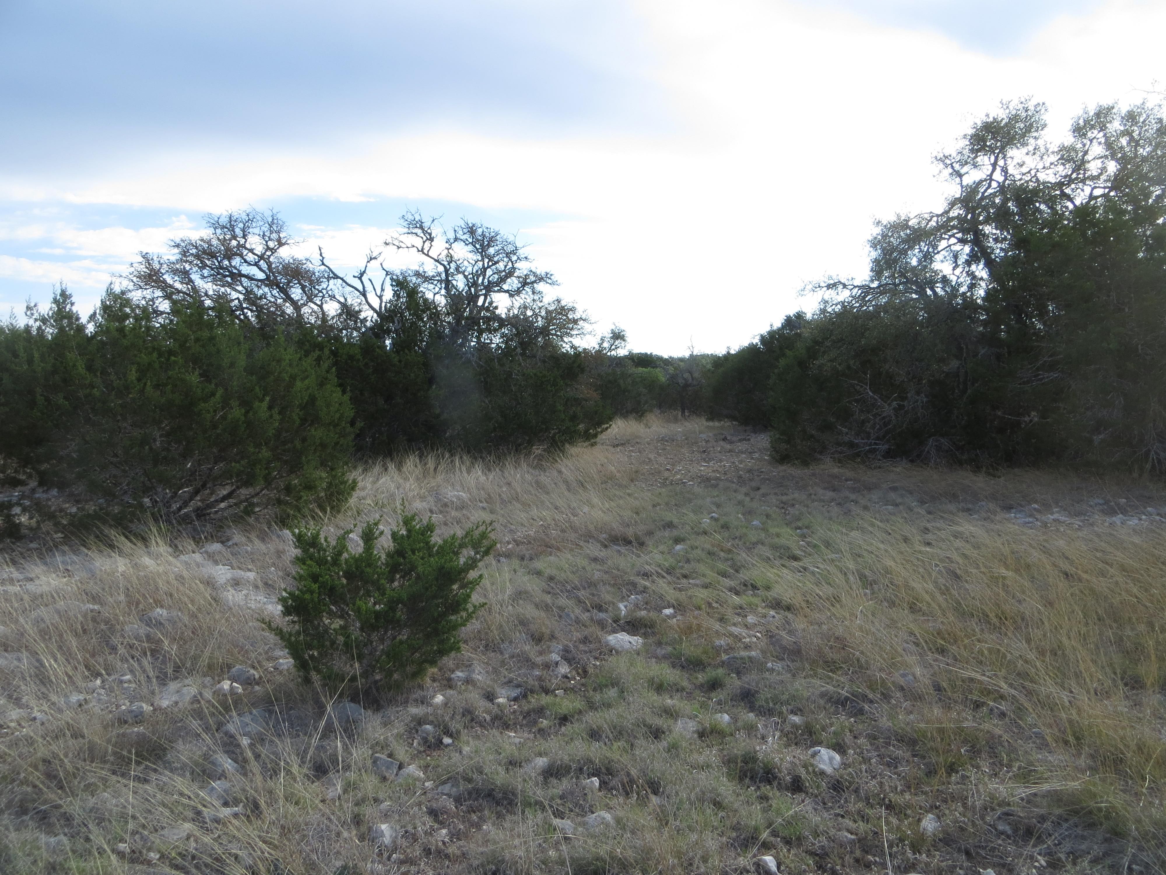 Junction, Edwards County, TX Recreational Property, Hunting Property