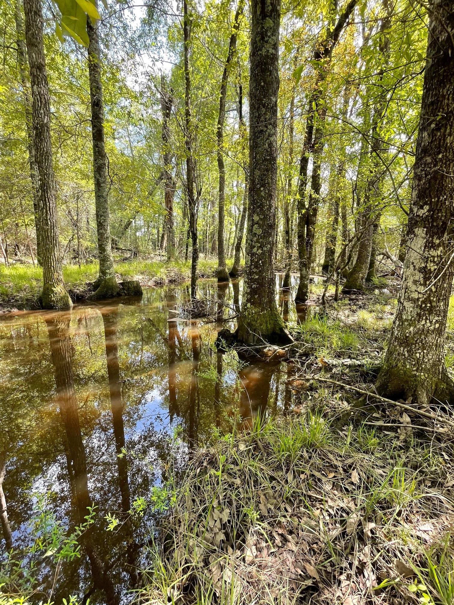 Cobbtown, Candler County, GA Recreational Property, Hunting Property