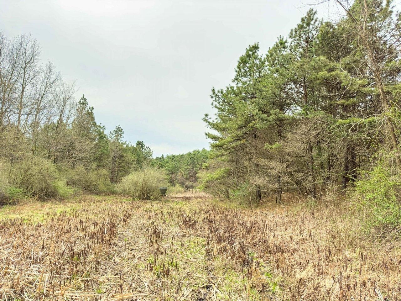 Mcconnelsville, Noble County, OH Recreational Property, Hunting