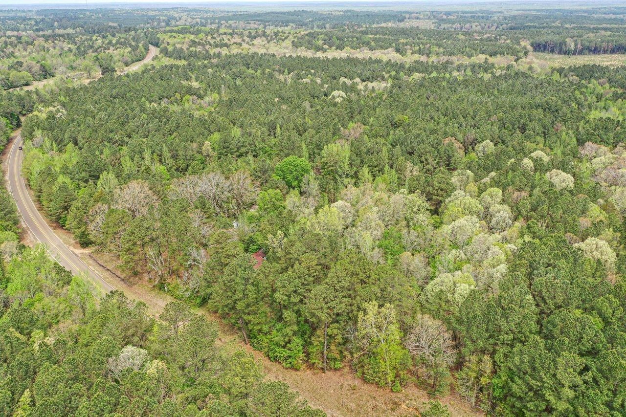 1168 HIGHWAY 413, Kilmichael, MS 39747 LandWatch