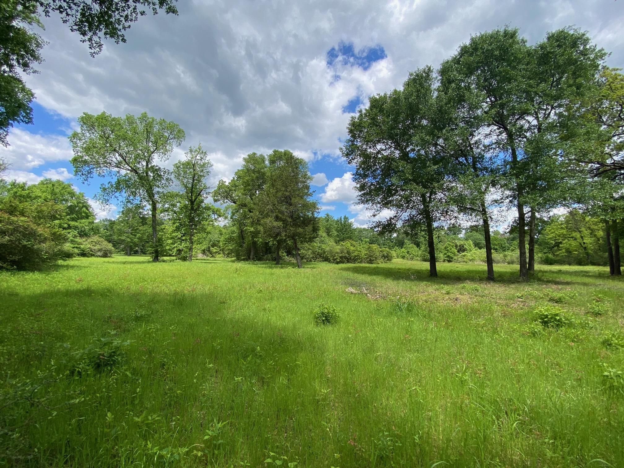 Lovelady, Houston County, TX Farms and Ranches, Recreational Property