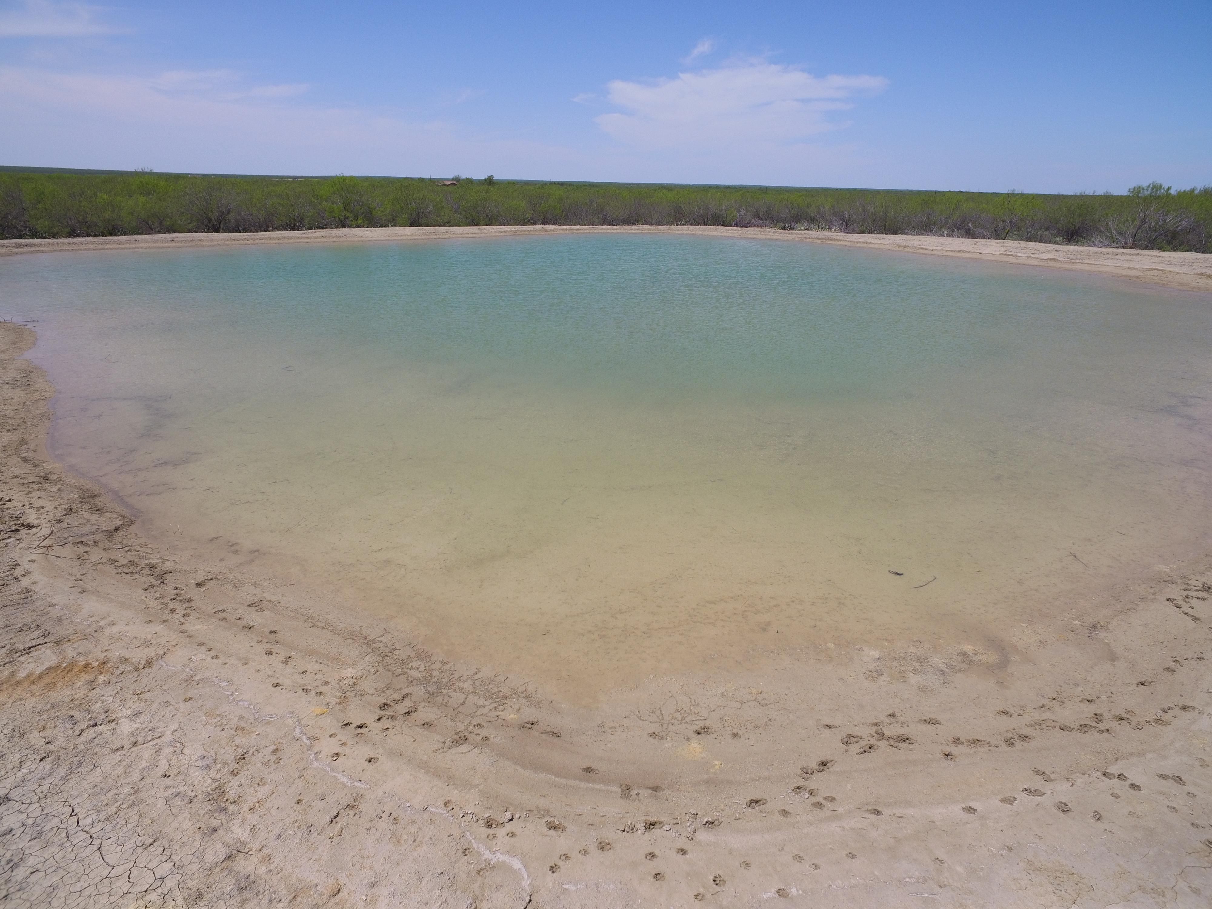 225 acres in Big Wells, TX, 78830 LandWatch