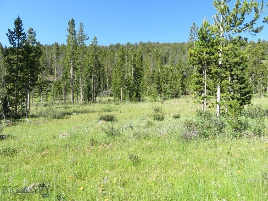 Wise River, Beaverhead County, MT Recreational Property, Undeveloped