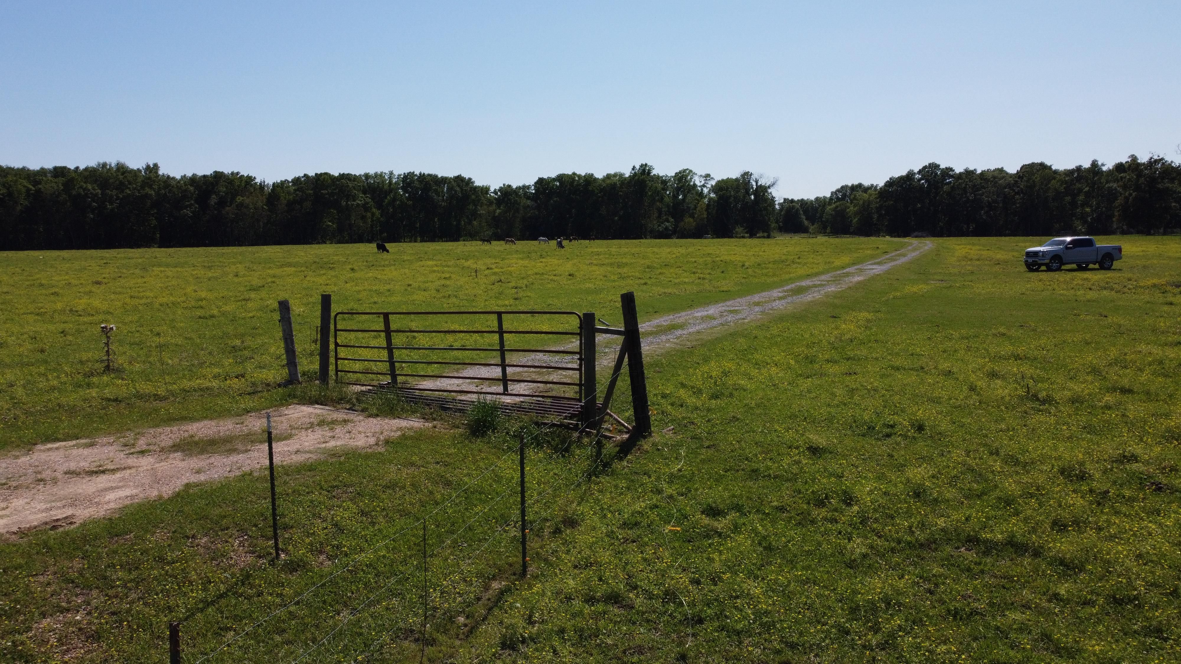 Oakdale, Allen Parish, LA Undeveloped Land, Horse Property for sale Property ID 415799740