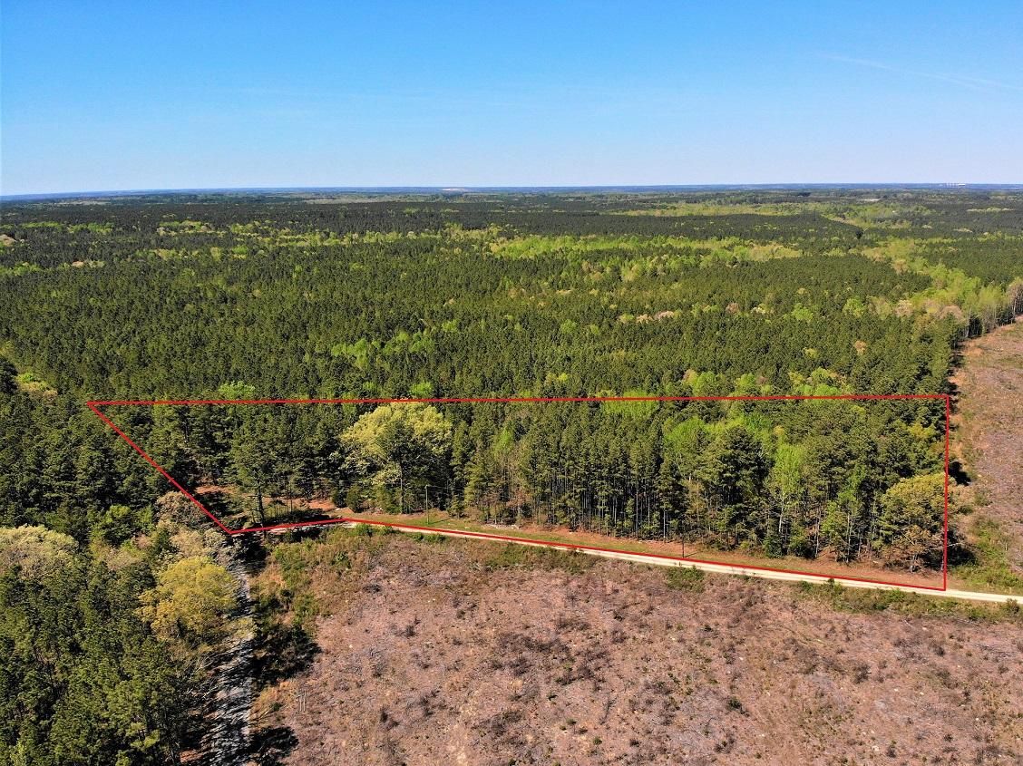 Lawrenceville, Brunswick County, VA Undeveloped Land, Hunting Property