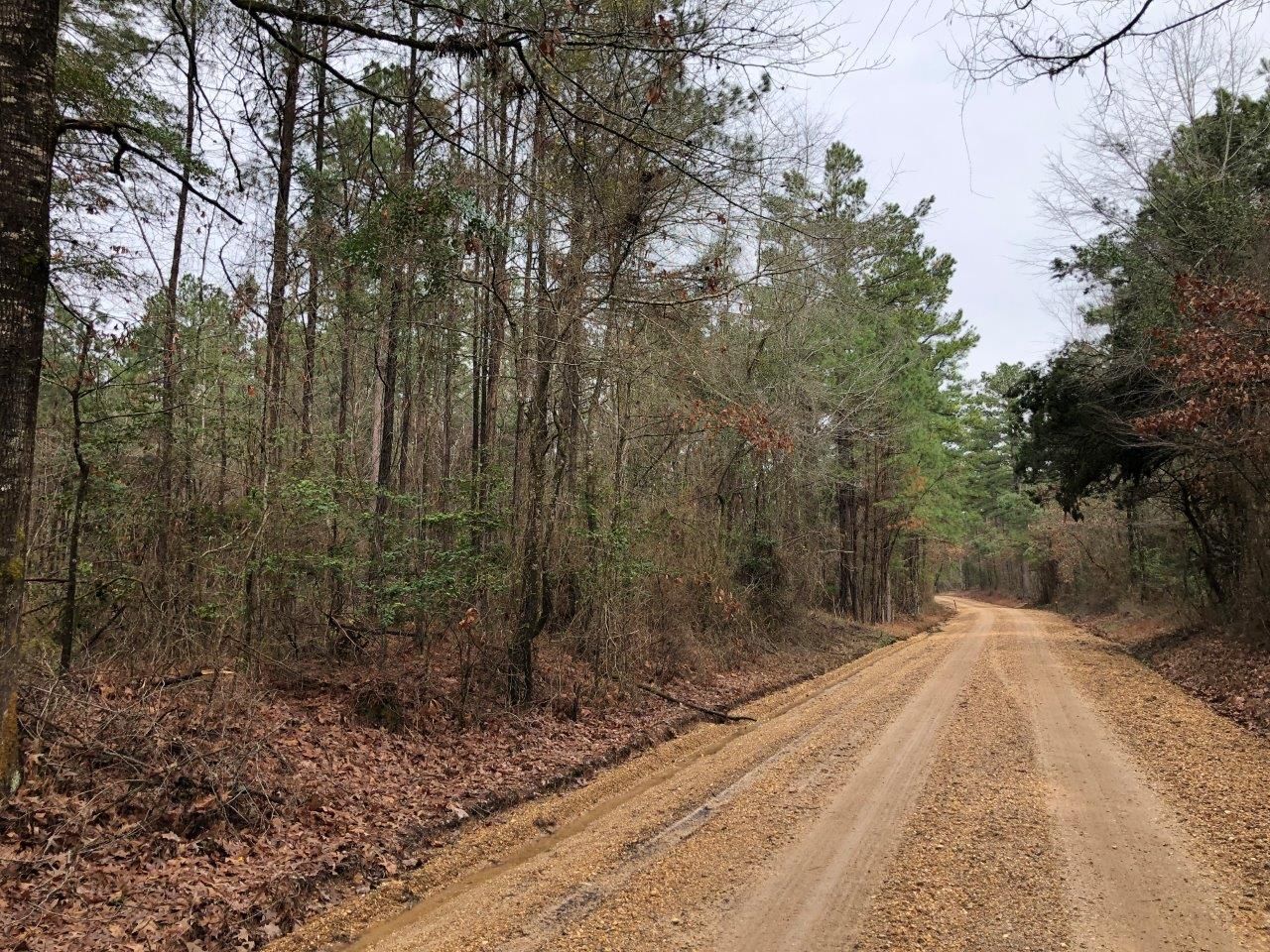 Hampton, Calhoun County, AR Timberland Property, Undeveloped Land