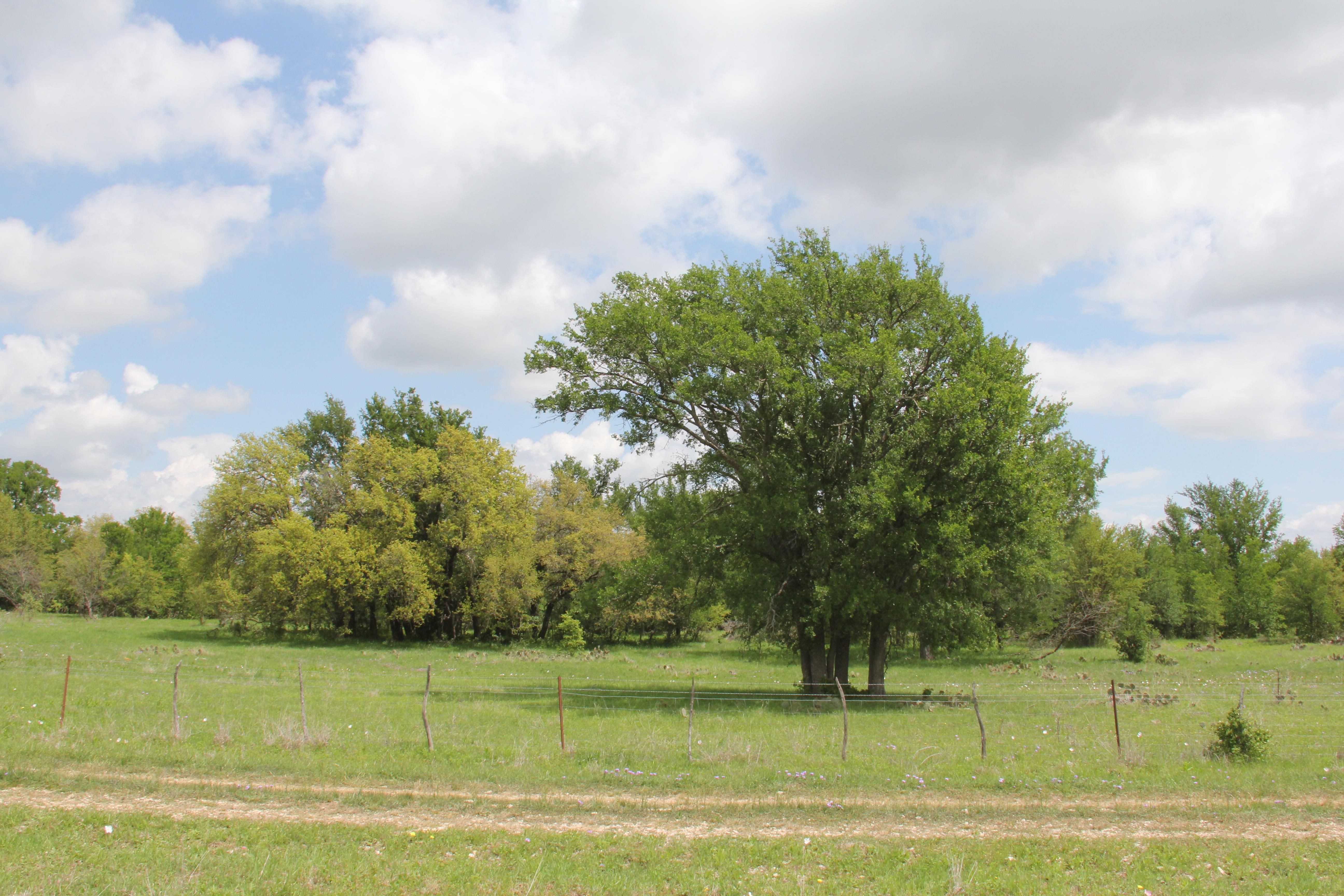Carbon, Eastland County, TX Farms and Ranches, Recreational Property