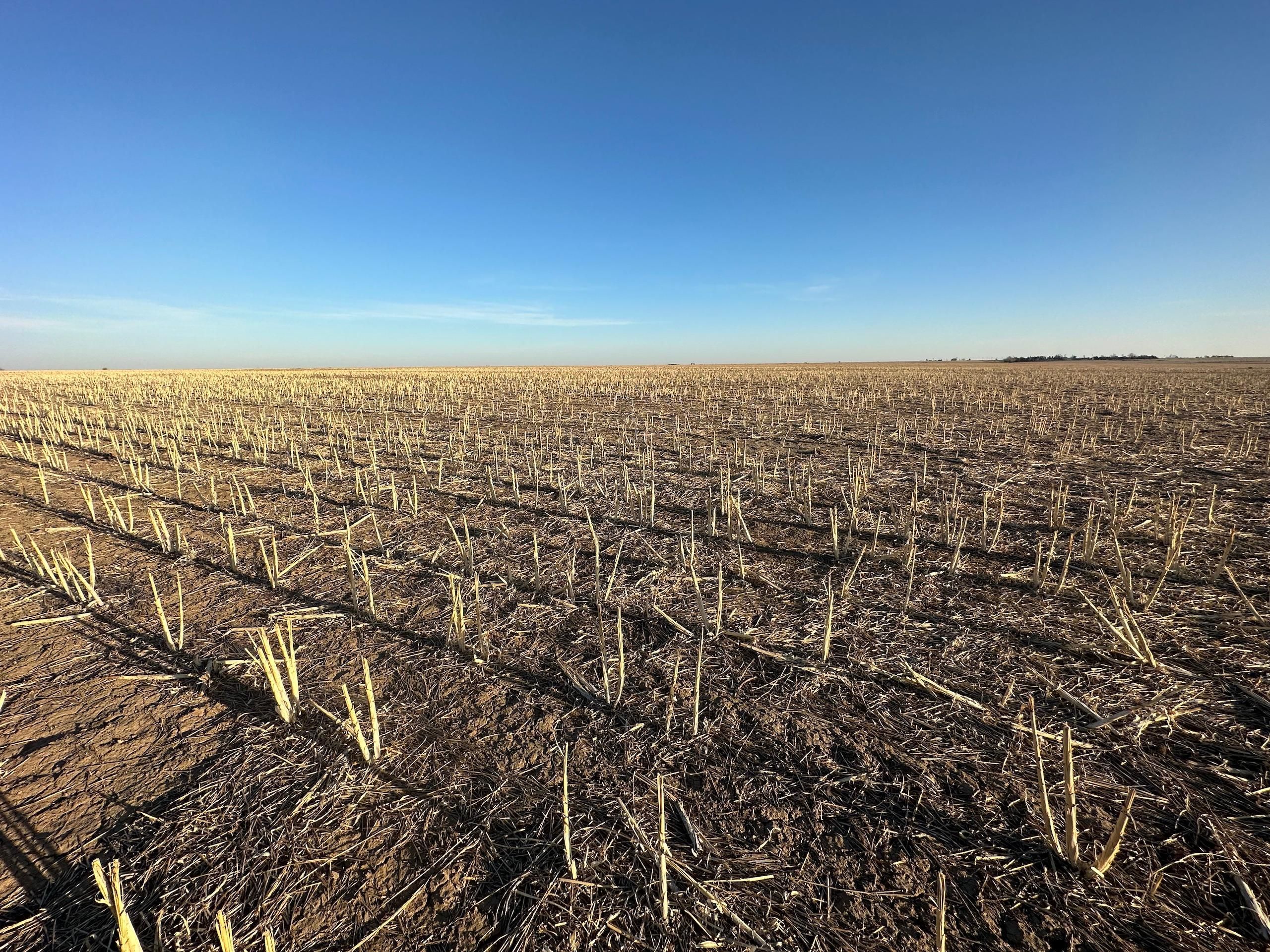 Ransom, Ness County, KS Farms and Ranches, Recreational Property