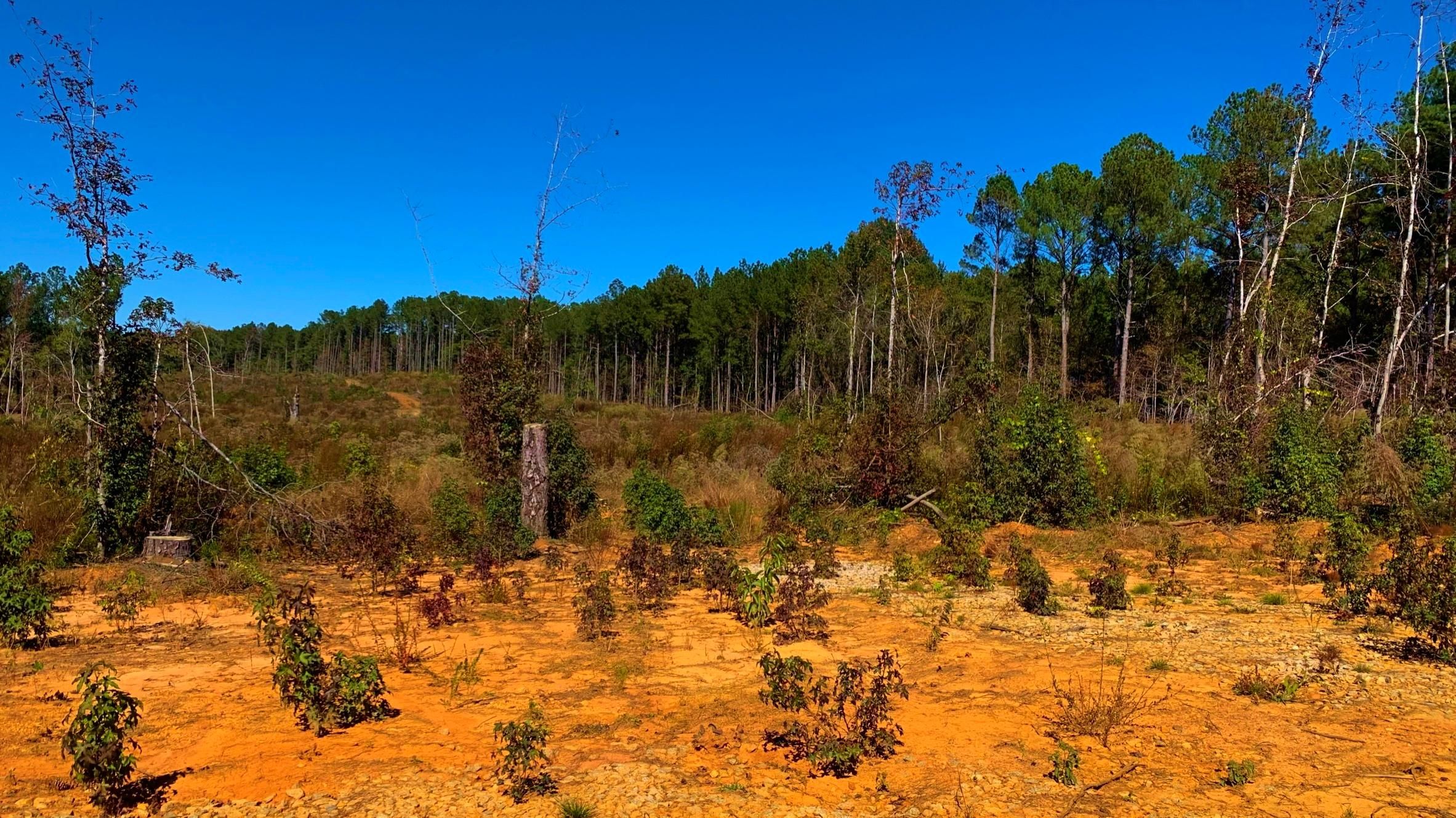 U.S. 278, Norwood, GA 30821 LandWatch