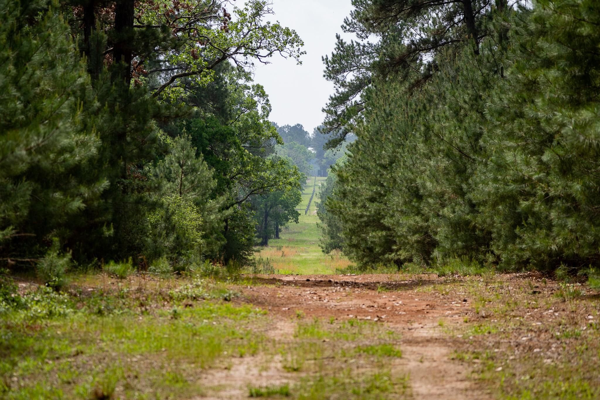 Bedias, Grimes County, TX Farms and Ranches, Recreational Property, Hunting Property, House for