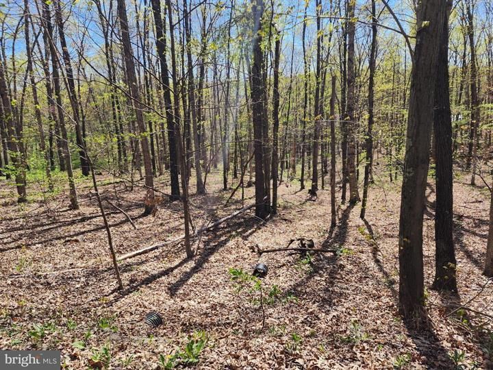 Delray, Hampshire County, WV Recreational Property, Homesites for sale