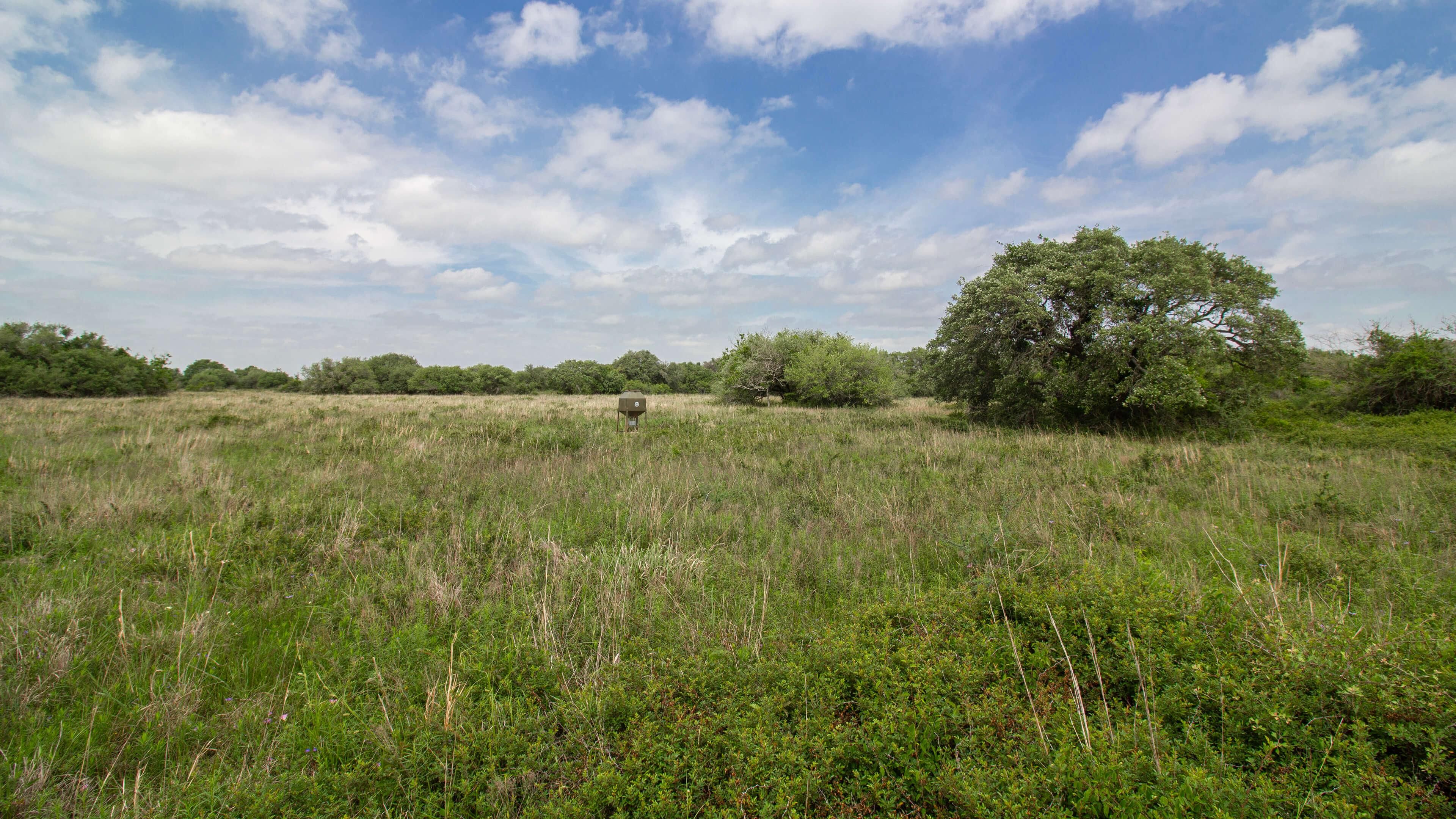 Edna, Jackson County, TX Farms and Ranches, Recreational Property