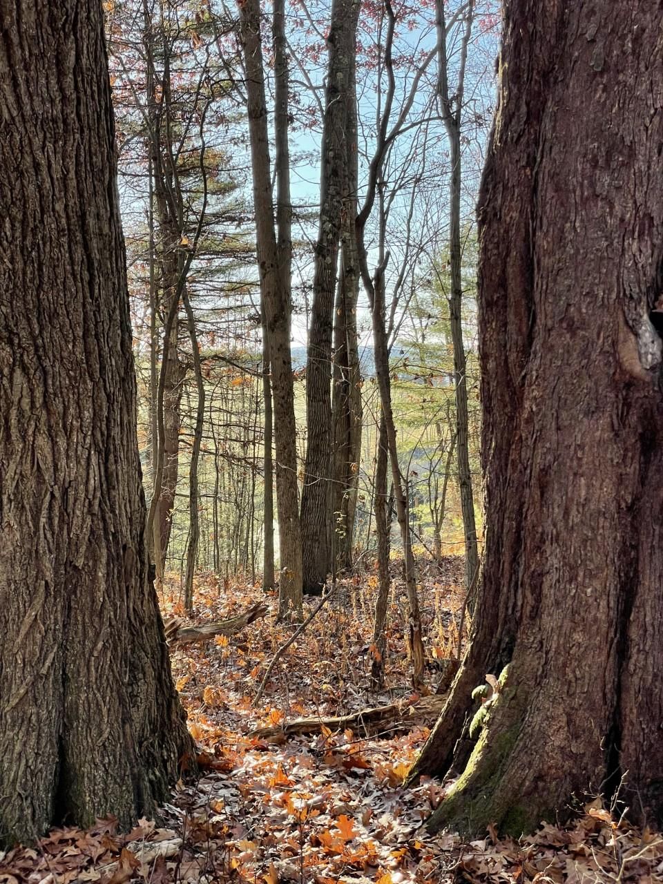 Unadilla, Otsego County, NY Recreational Property, Homesites for sale