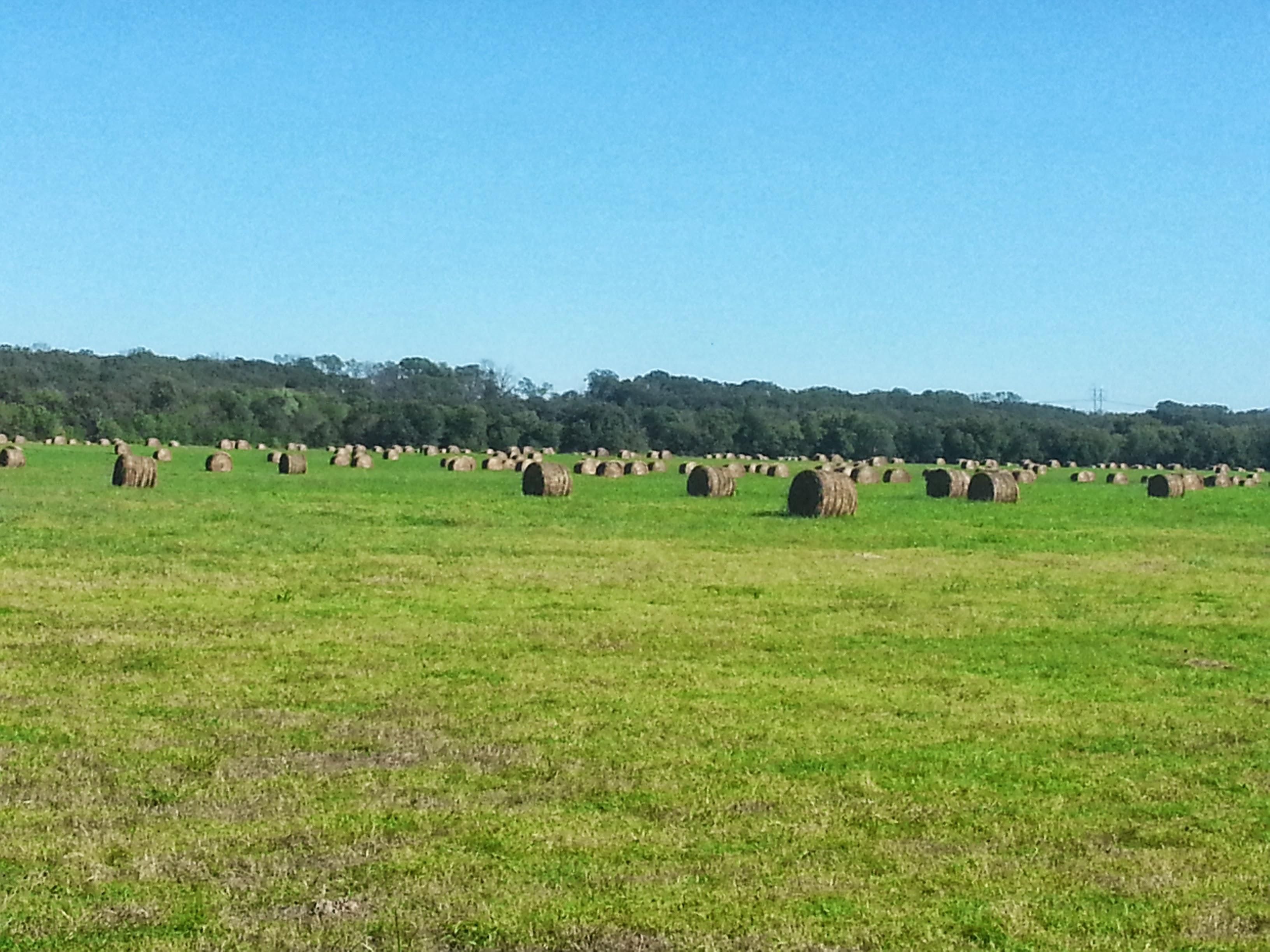 631 acres in Okemah, OK, 74859 LandWatch