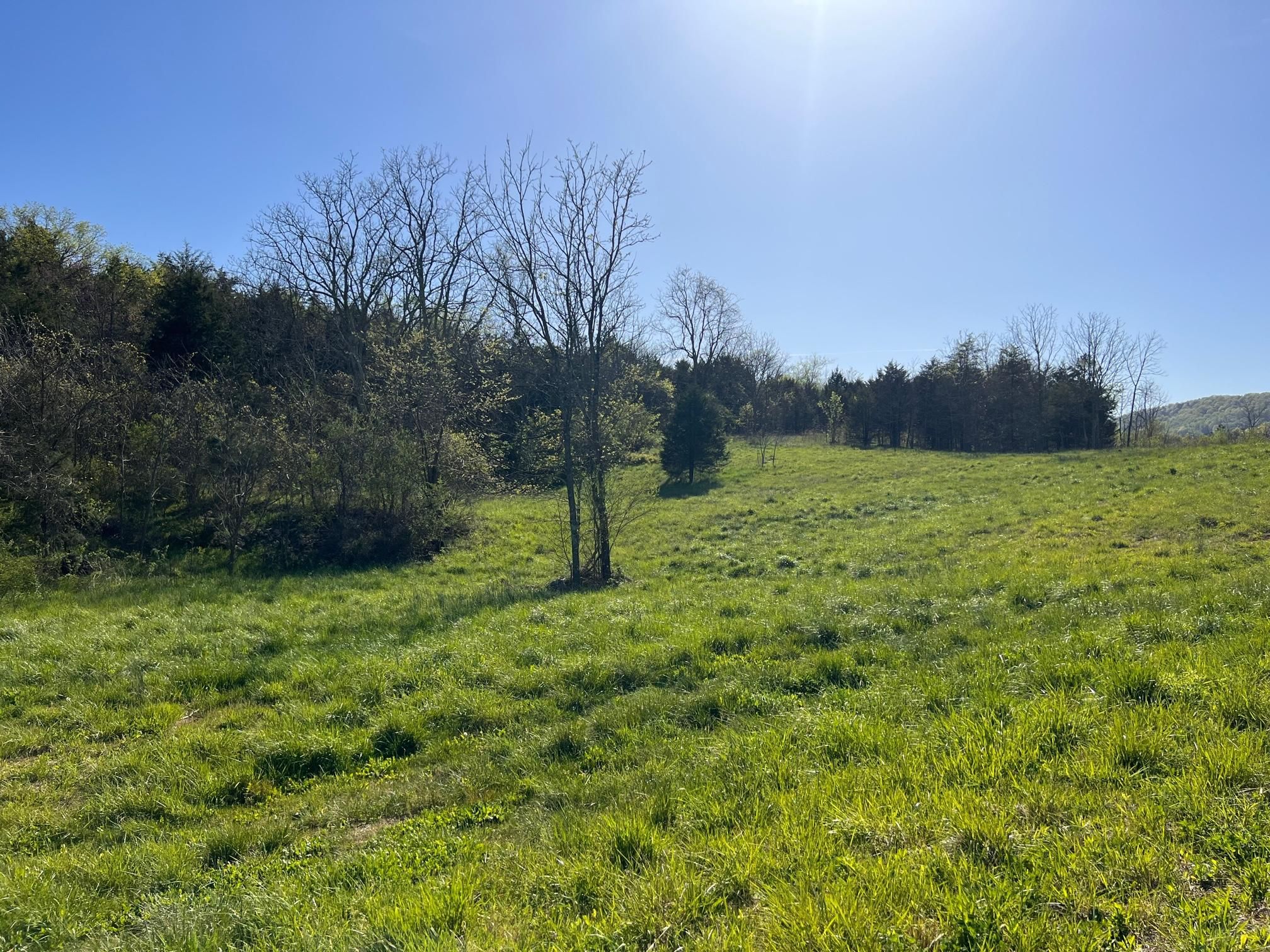 Rogersville, Hawkins County, TN Undeveloped Land for sale Property ID