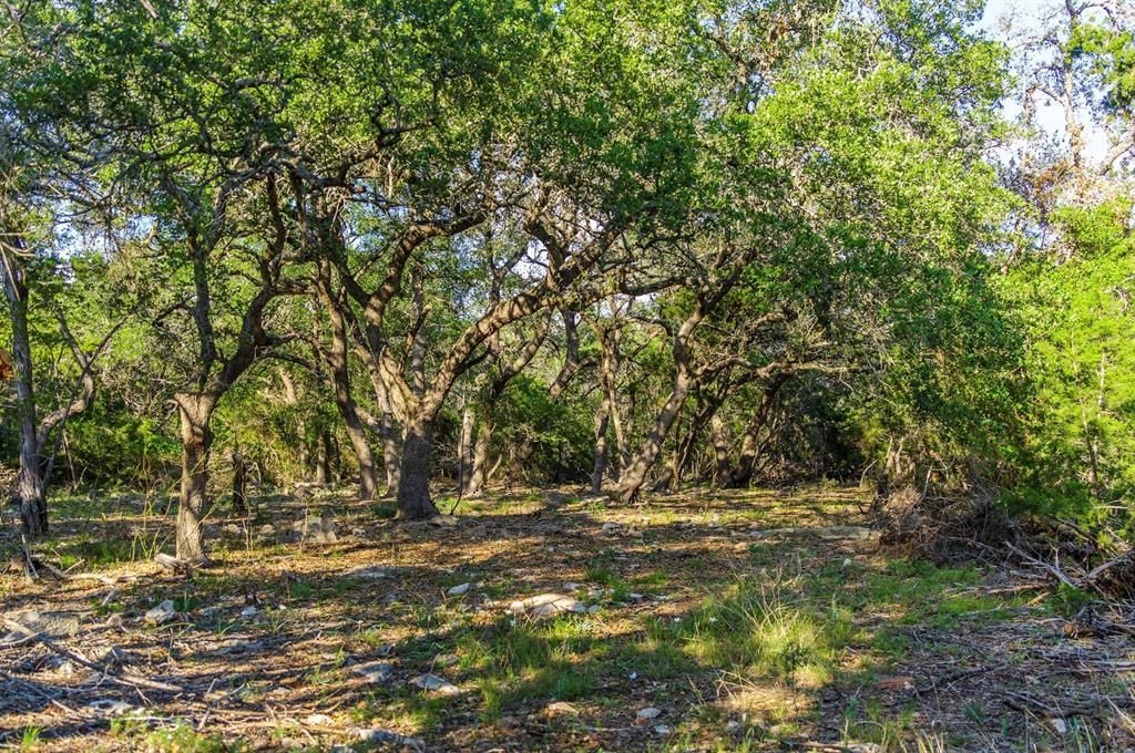 San Marcos, Hays County, TX Undeveloped Land for sale Property ID