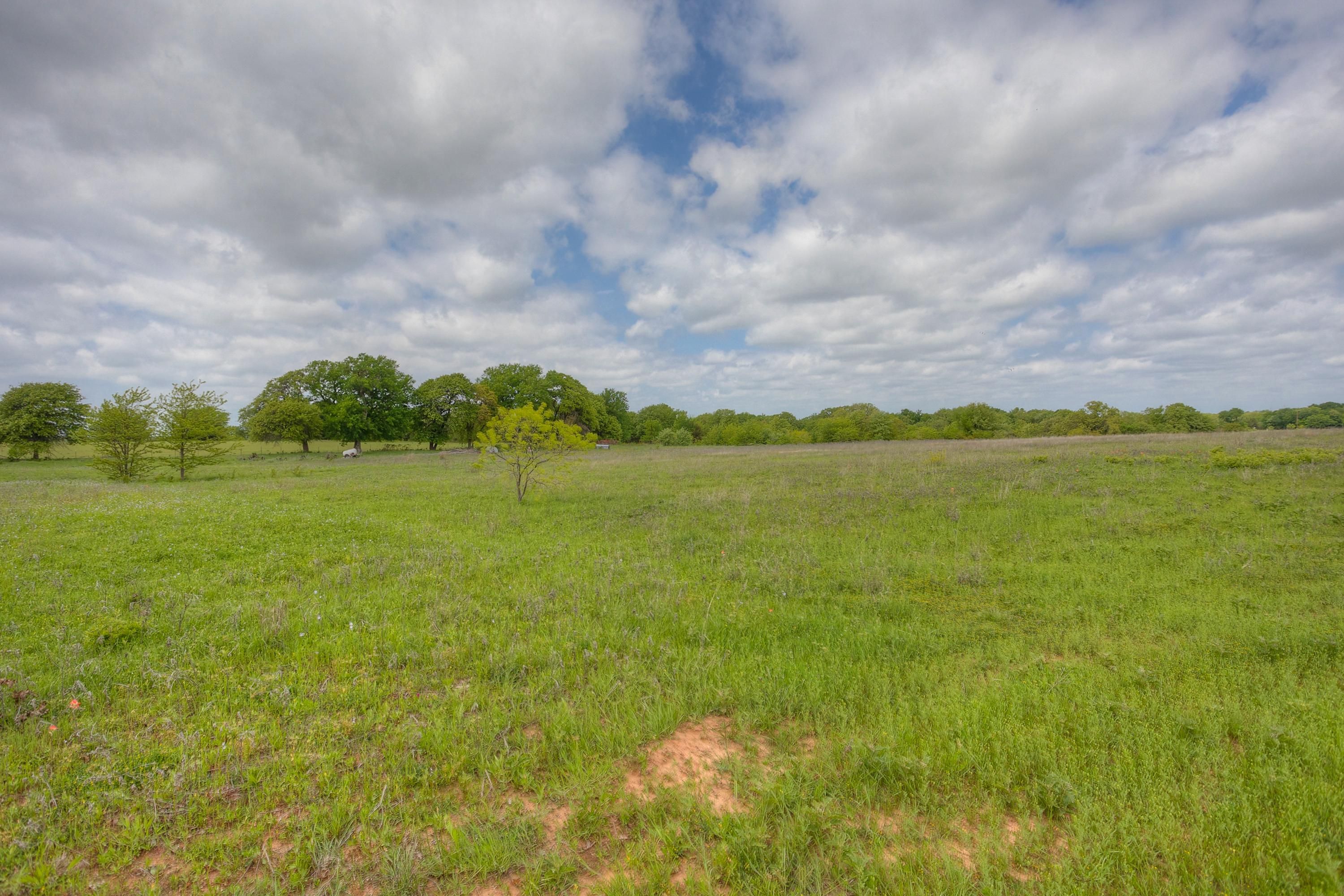 Alvord, Wise County, TX Undeveloped Land for sale Property ID