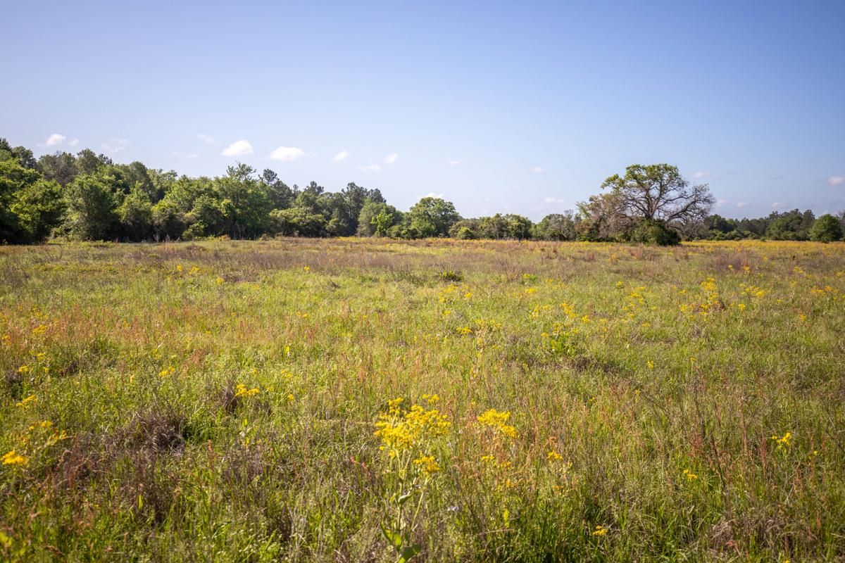 TBD Red Hill Rd, Bedias, TX 77831 LandWatch