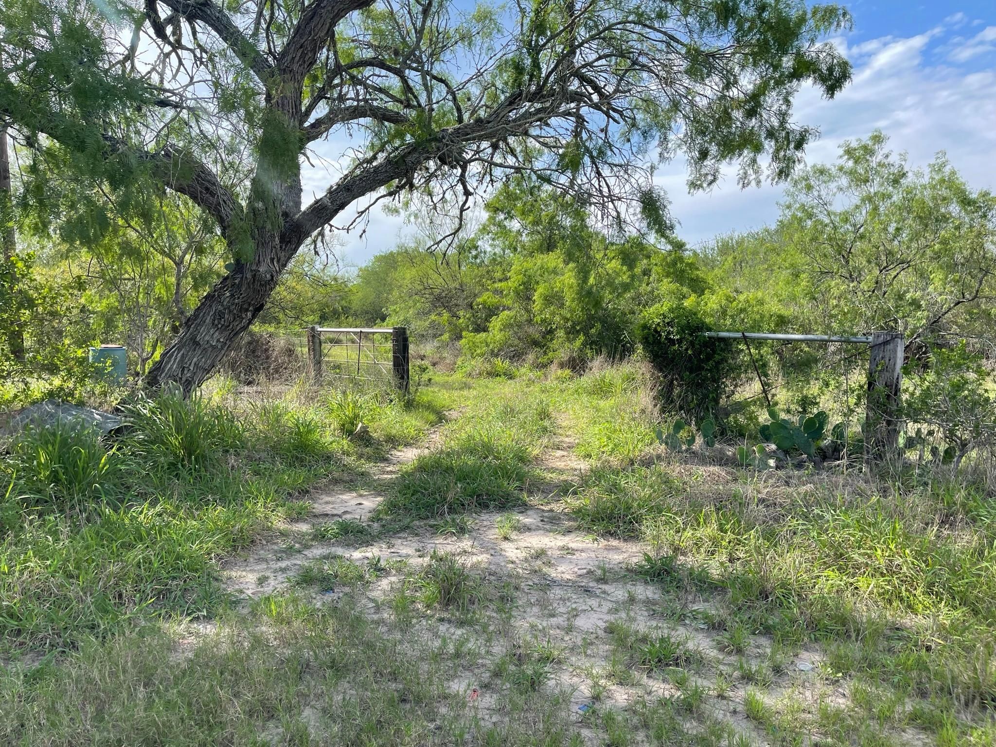 Alice, Jim Wells County, TX Farms and Ranches, Recreational Property