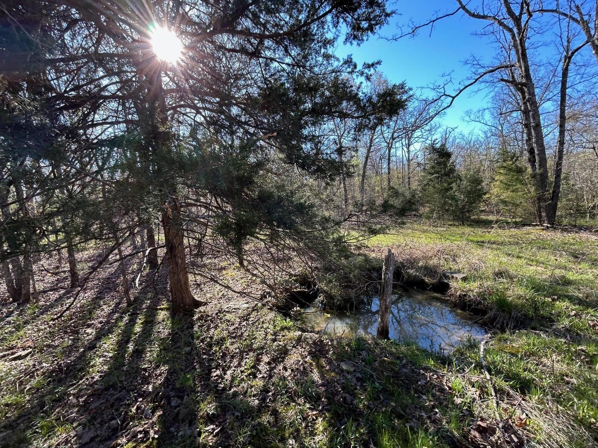 Myrtle, Oregon County, MO Farms and Ranches for sale Property ID