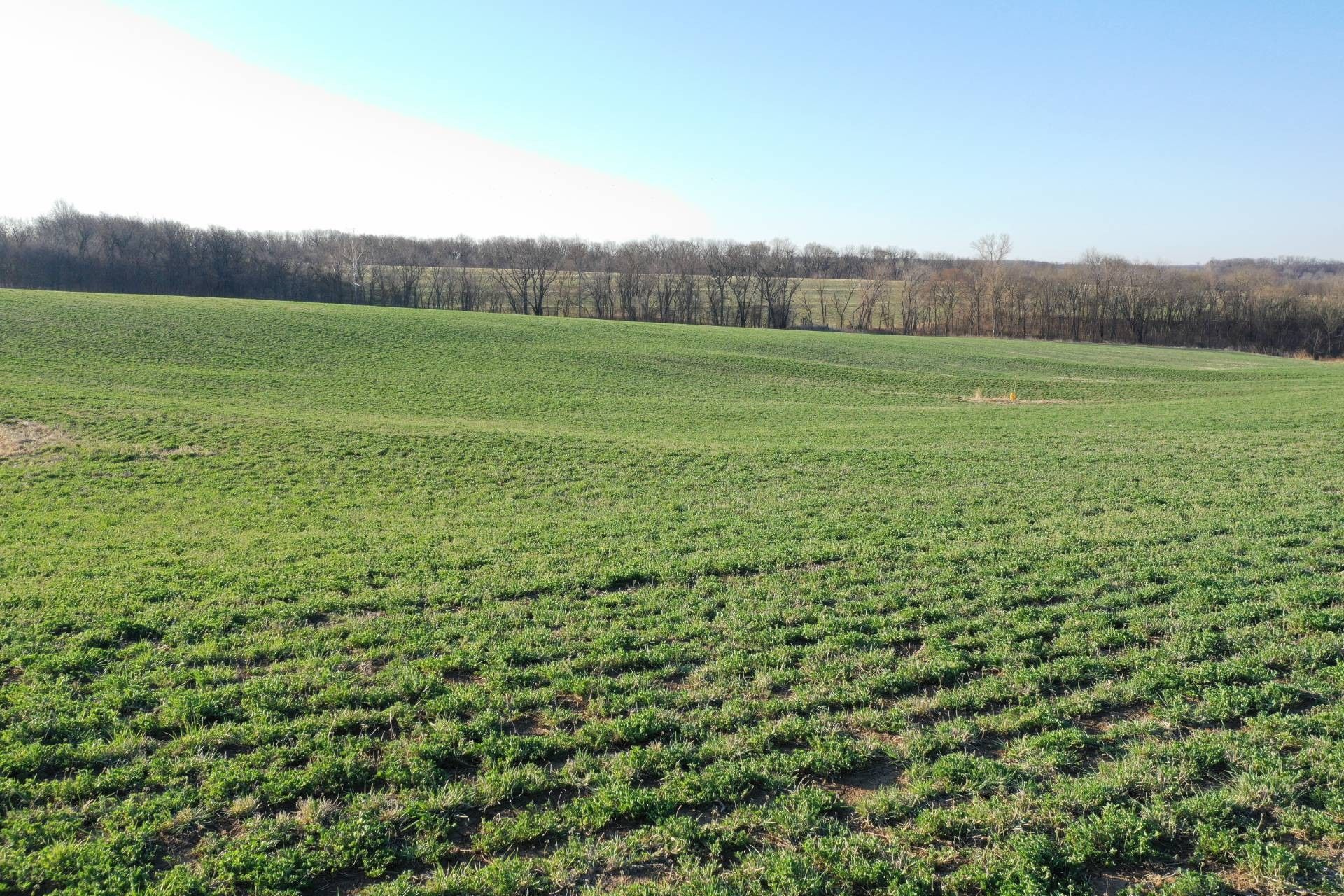 Union Star, DeKalb County, MO Undeveloped Land for sale Property ID
