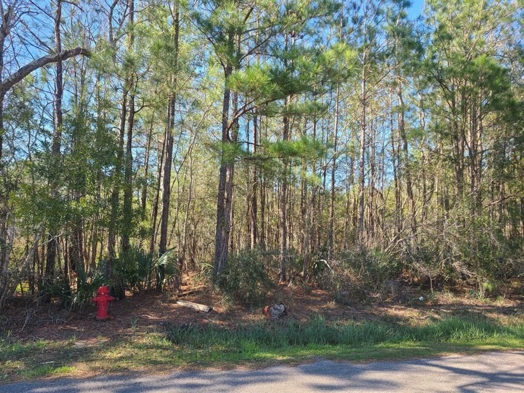 Waveland, Hancock County, MS Undeveloped Land, Homesites for sale Property ID 412495036 LandWatch