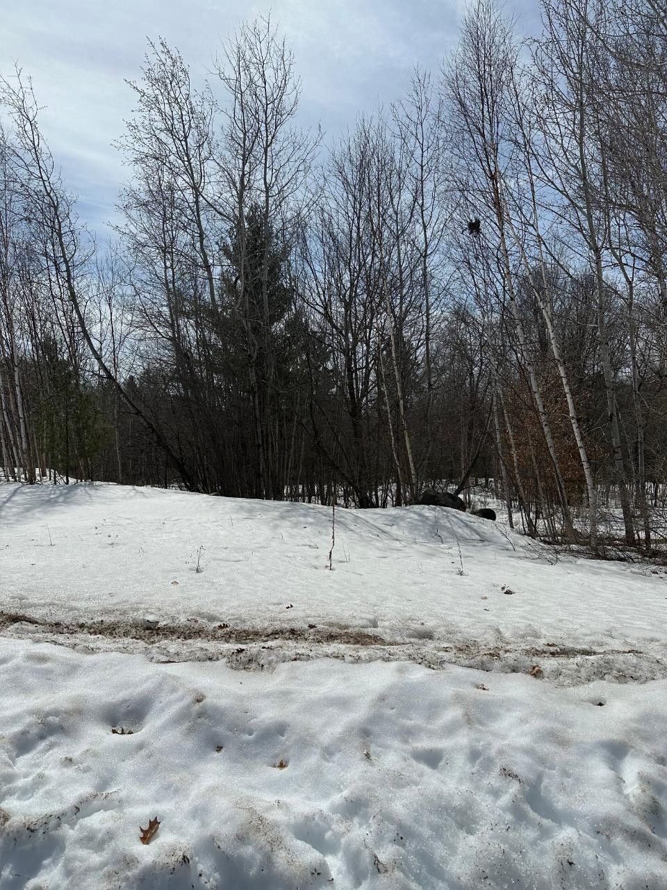 Rhinelander, Oneida County, WI Undeveloped Land, Homesites for sale