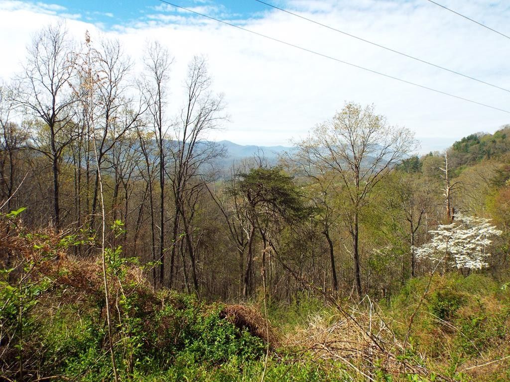 Clyde, Haywood County, NC Farms and Ranches for sale Property ID