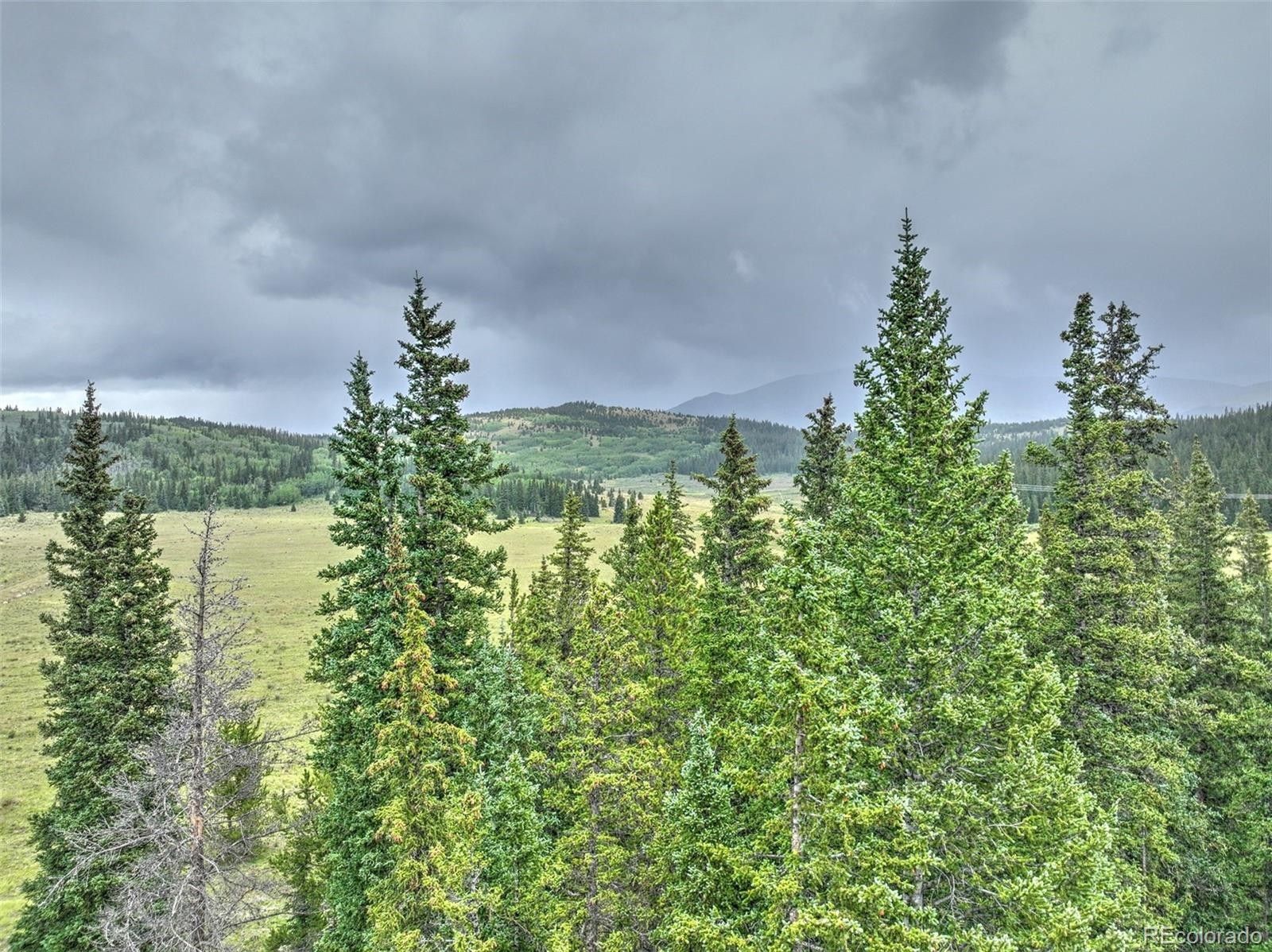 Fairplay, Park County, CO Undeveloped Land for sale Property ID