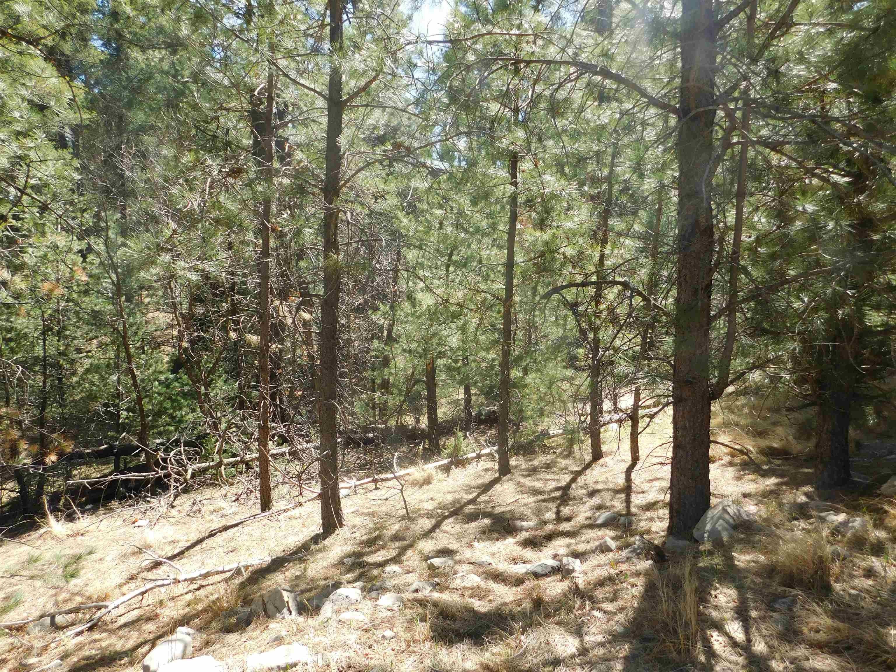 Cloudcroft, Otero County, NM Homesites for sale Property ID 416246762