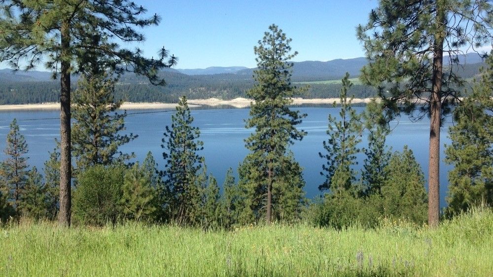 Gifford, Stevens County, WA Farms and Ranches, Lakefront Property