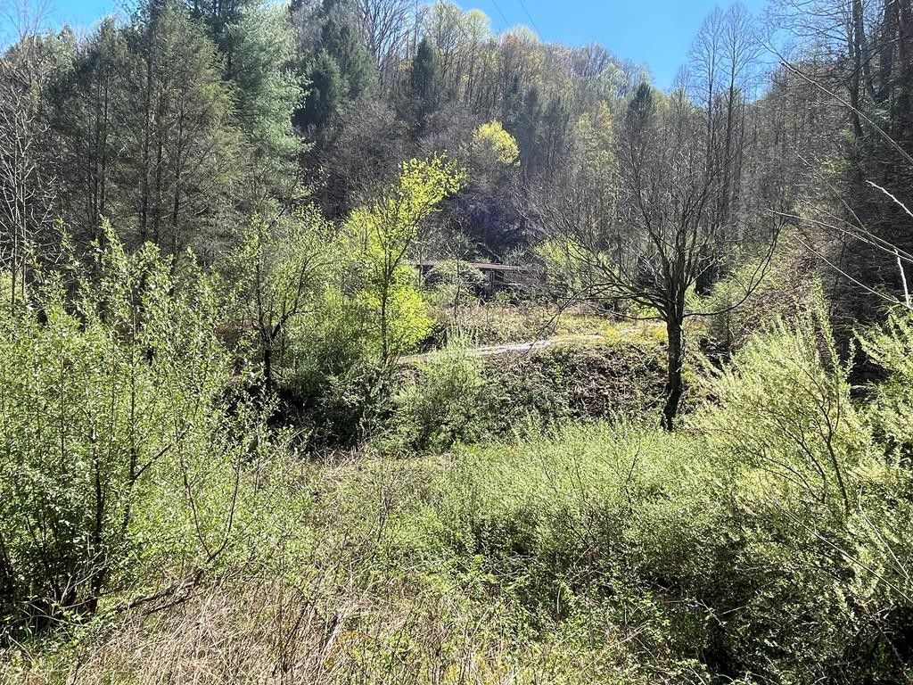 Grundy, Buchanan County, VA Farms and Ranches for sale Property ID