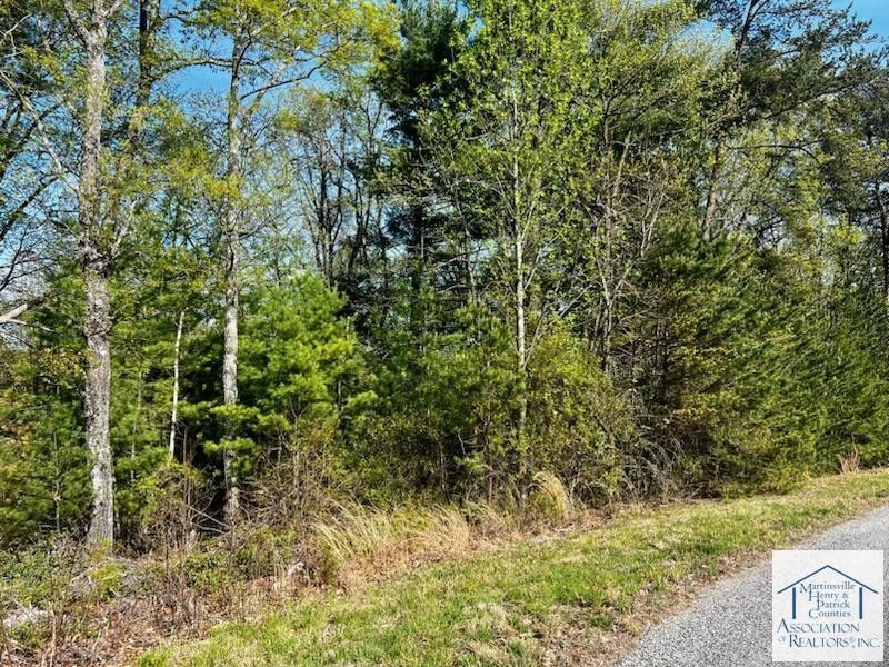 Stuart, Patrick County, VA Undeveloped Land, Homesites for sale