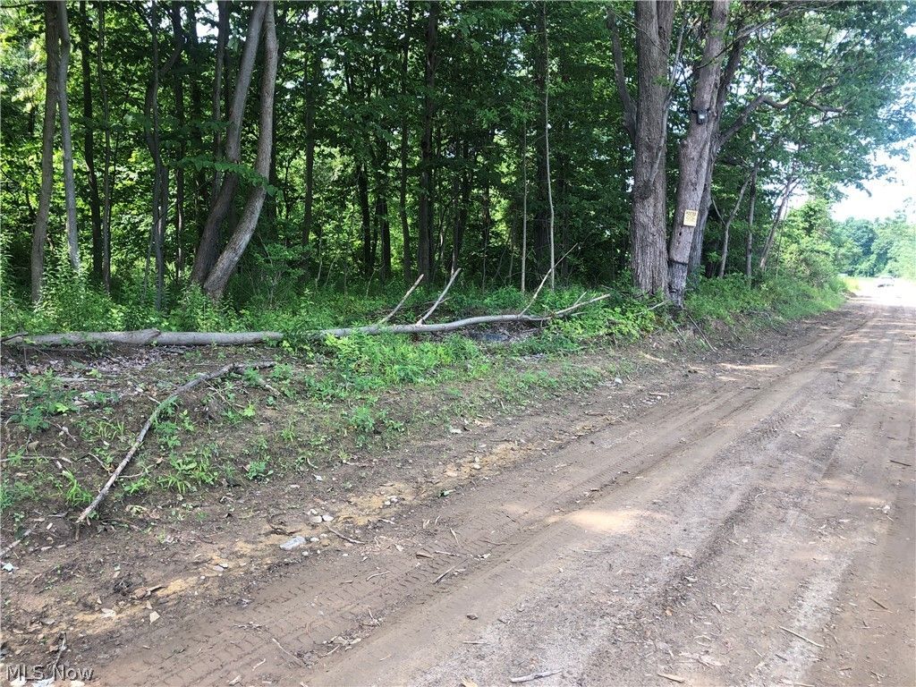 Kingsville, Ashtabula County, OH Undeveloped Land, Lakefront Property