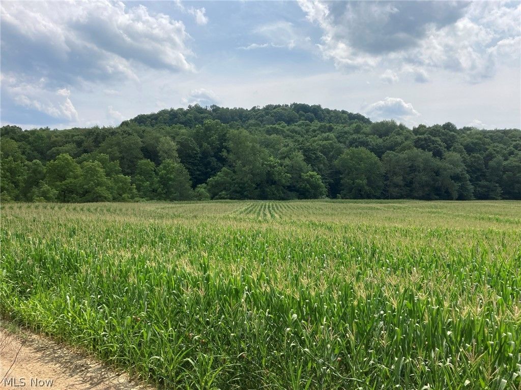 Port Washington, Tuscarawas County, OH Farms and Ranches for sale