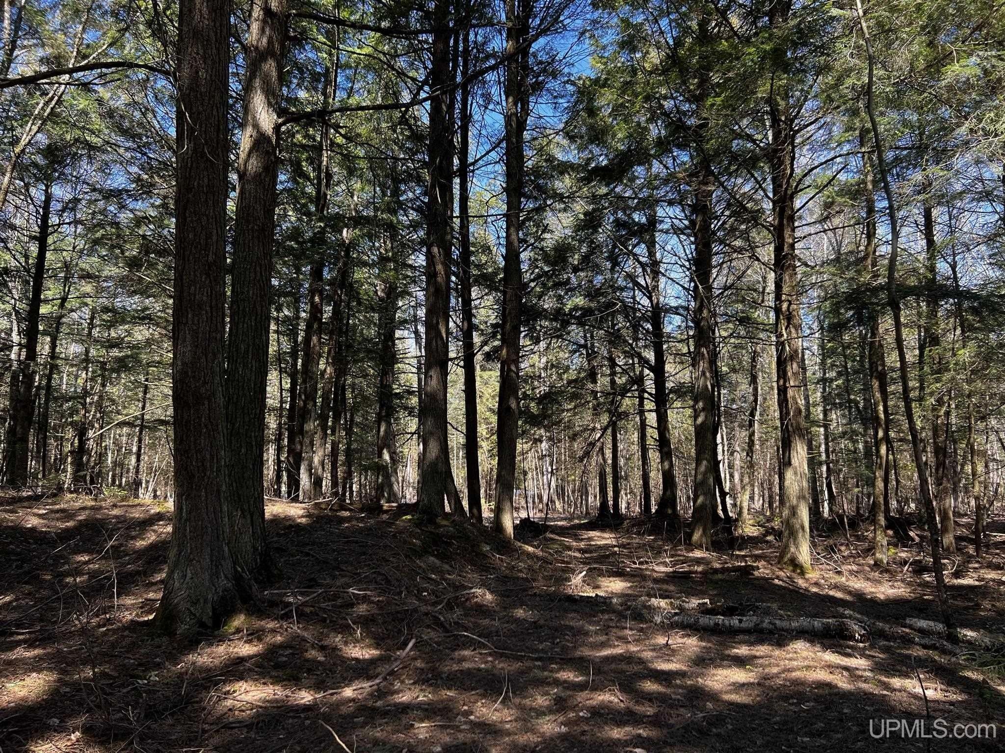 Manistique, Schoolcraft County, MI Undeveloped Land, Lakefront Property, Waterfront Property