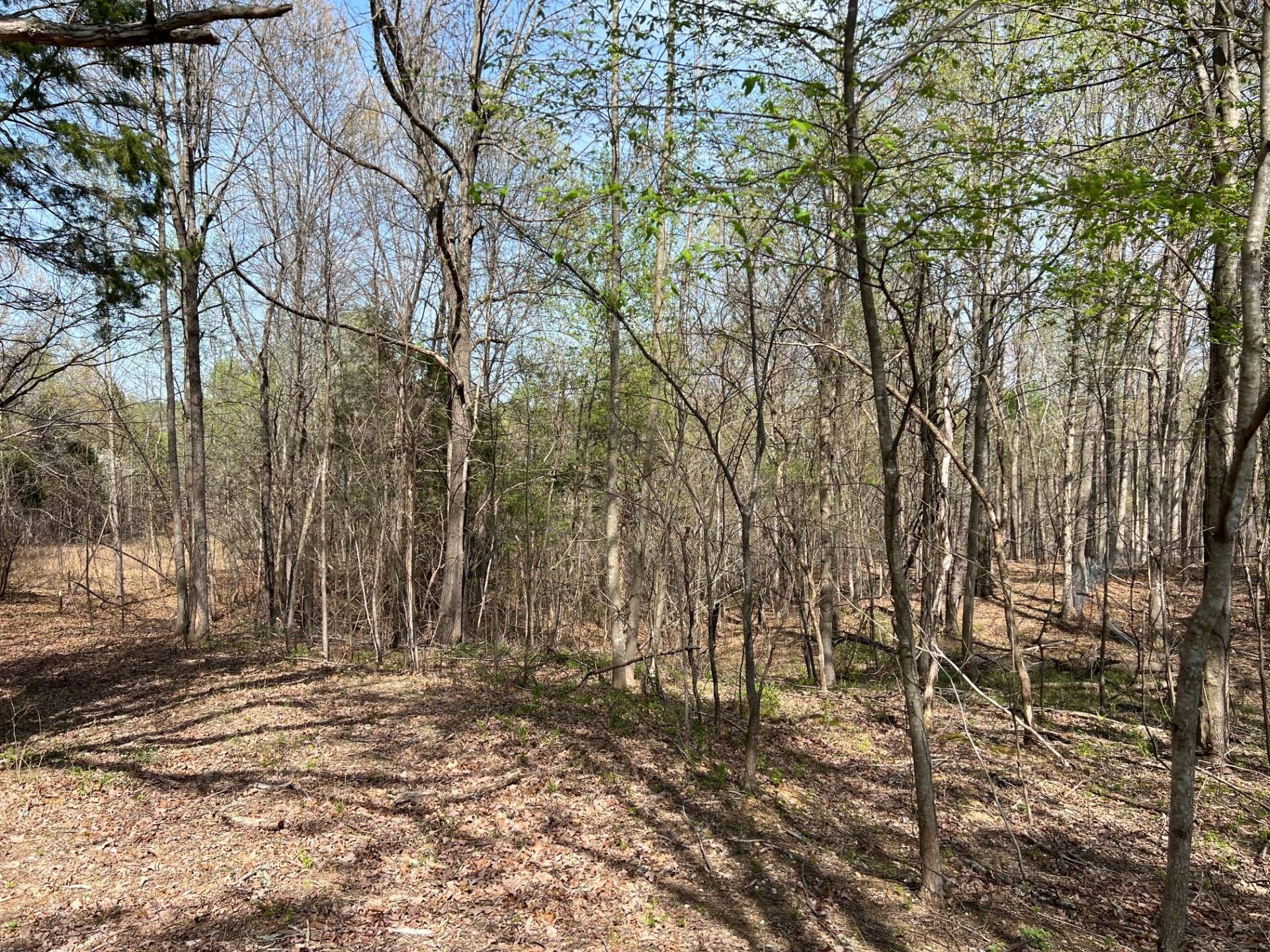 Buffalo, Larue County, KY Farms and Ranches for sale Property ID