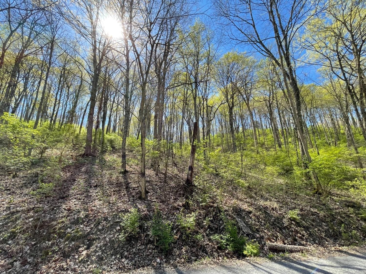 Florence, Switzerland County, IN Farms and Ranches, Homesites for sale