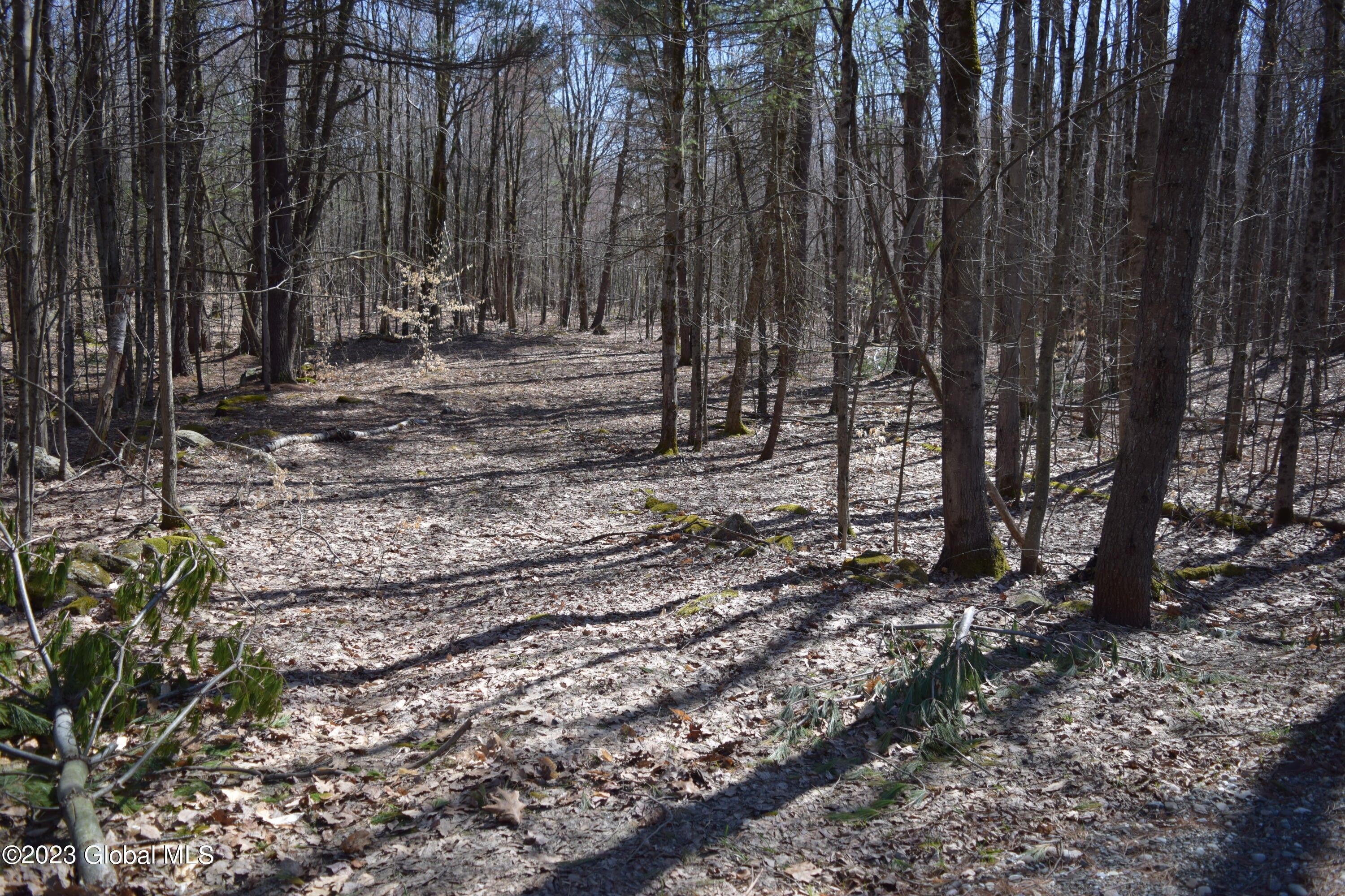 Grafton, Rensselaer County, NY Undeveloped Land for sale Property ID