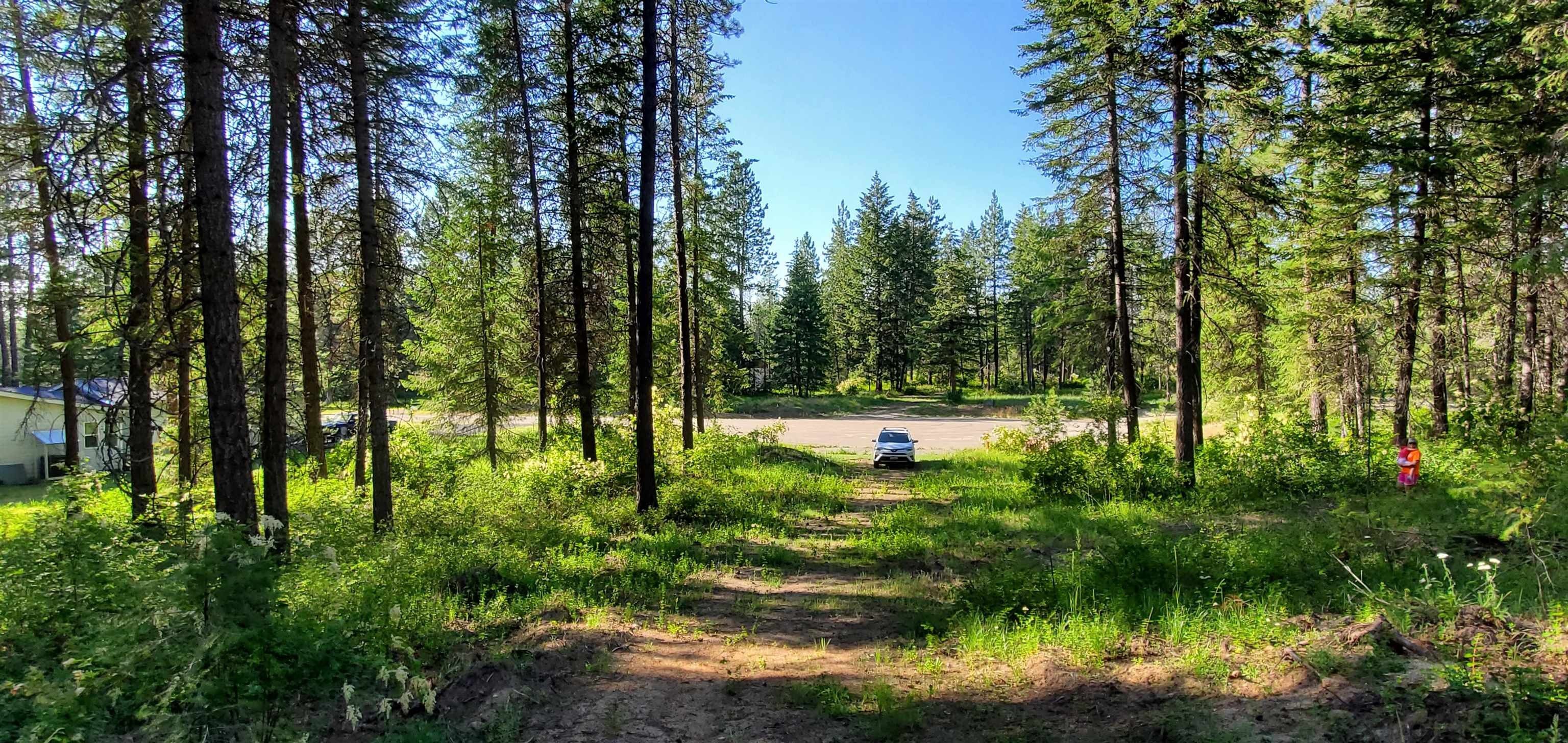 Loon Lake, Stevens County, WA Farms and Ranches, Homesites for sale Property ID 416253855