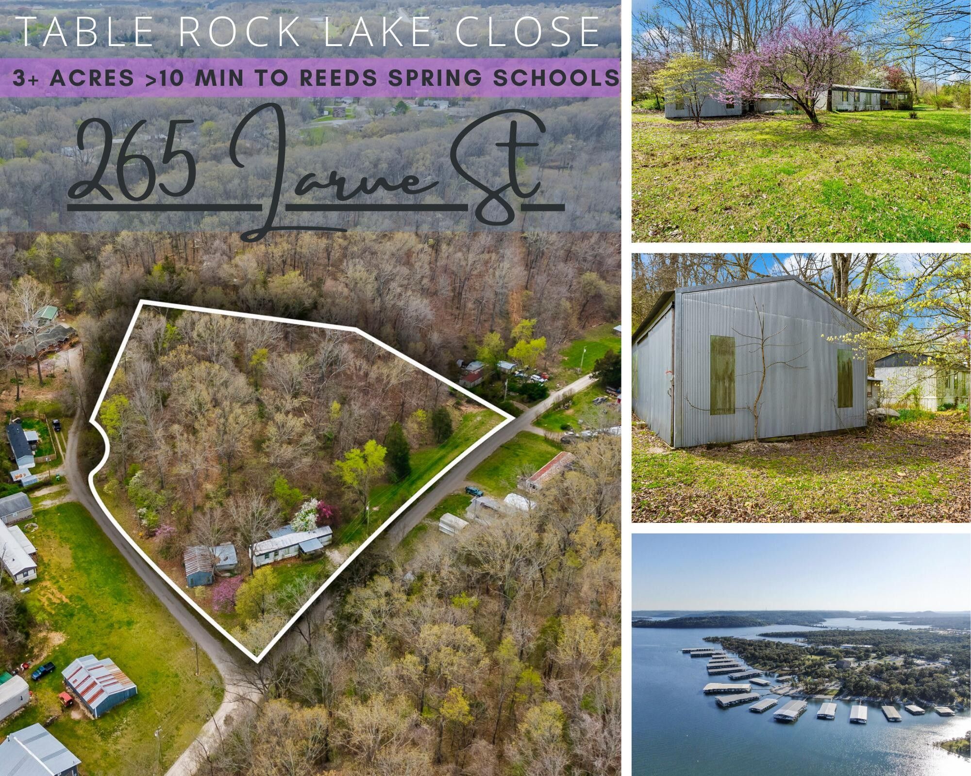 Reeds Spring, Stone County, MO House for sale Property ID 416254180