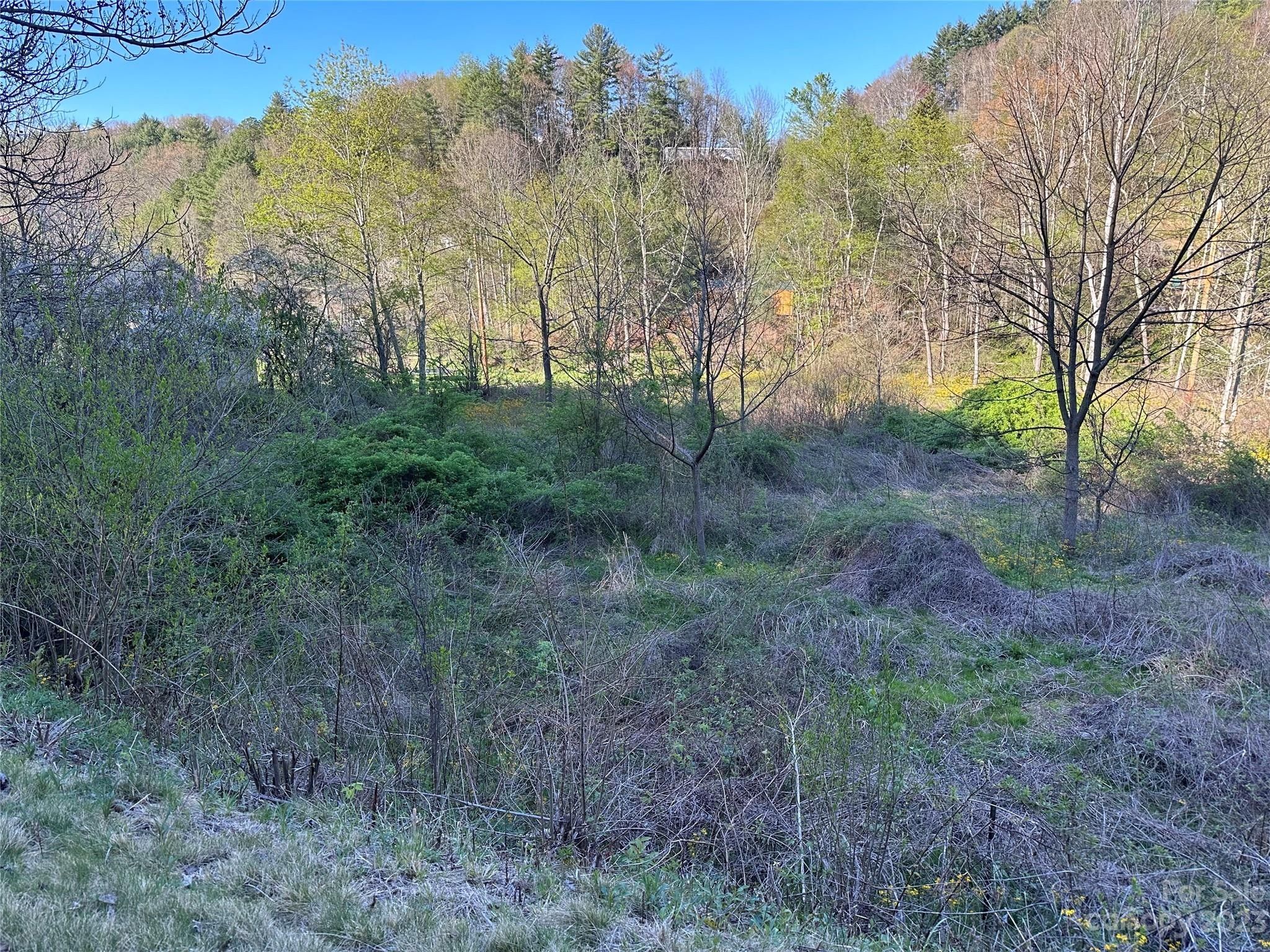 Clyde, Haywood County, NC Farms and Ranches for sale Property ID