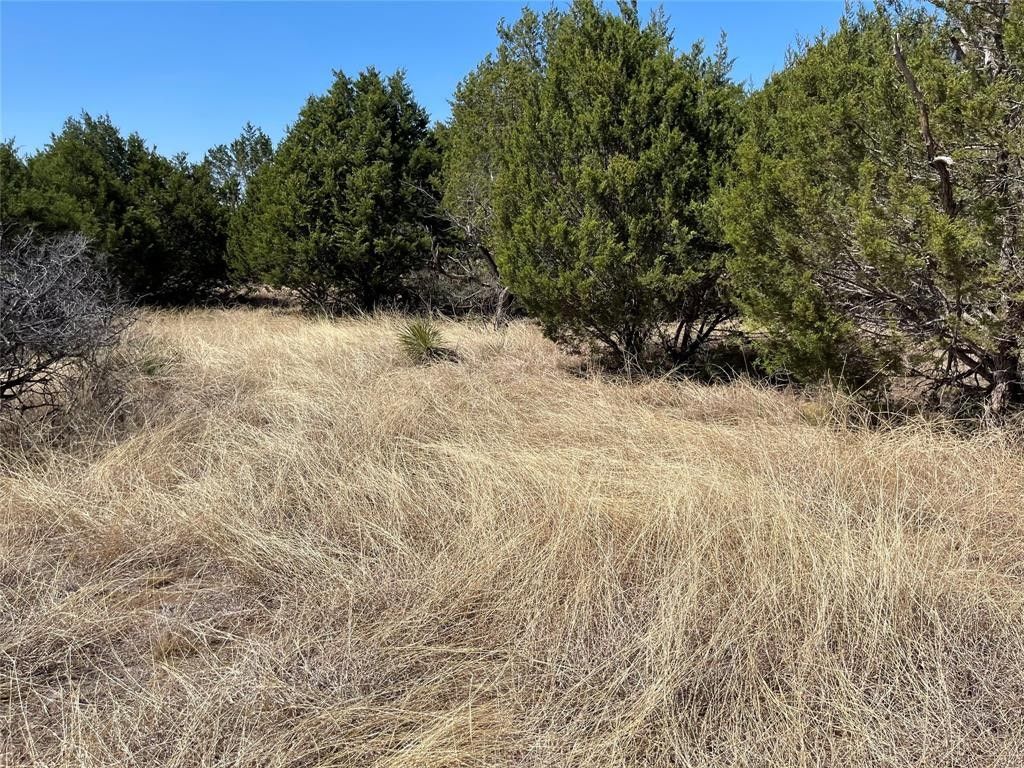 Brady, McCulloch County, TX Farms and Ranches for sale Property ID