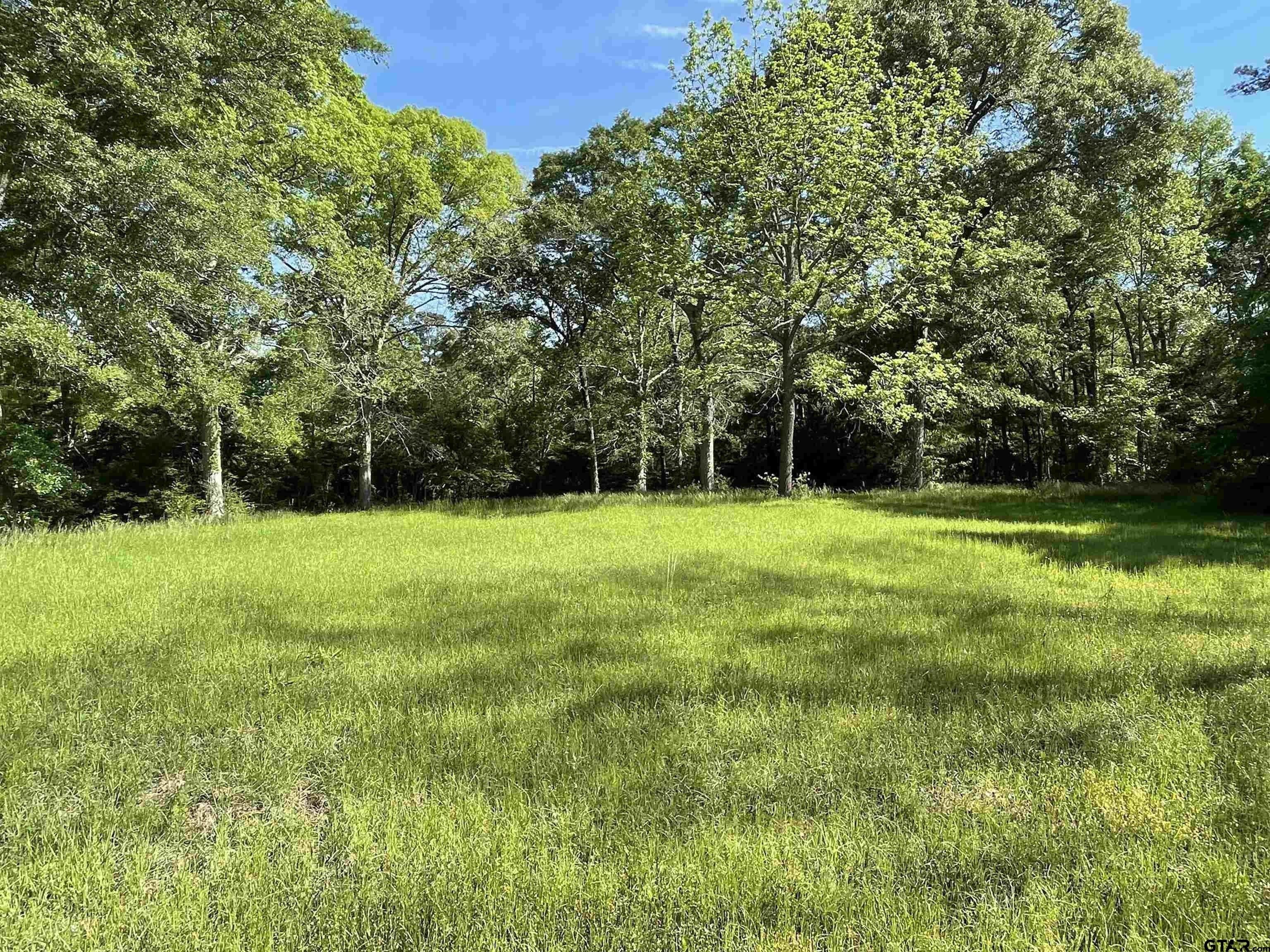 Rusk, Cherokee County, TX Farms and Ranches, House for sale Property ID