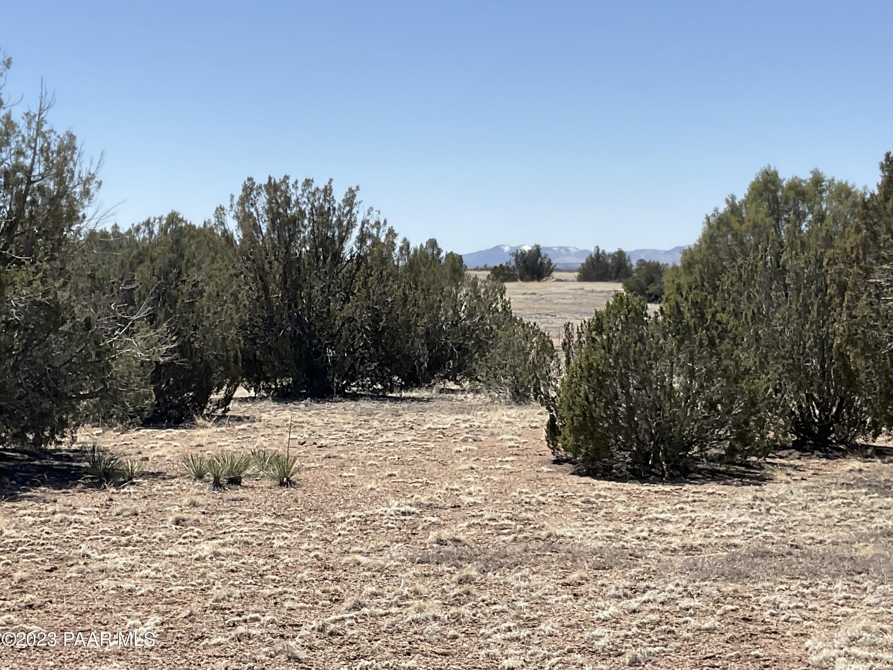 Seligman, Yavapai County, AZ Farms and Ranches for sale Property ID
