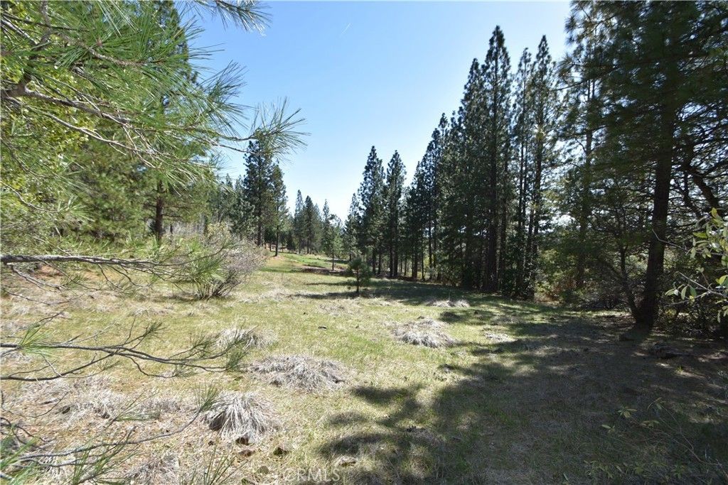 Oroville, Butte County, CA Undeveloped Land for sale Property ID